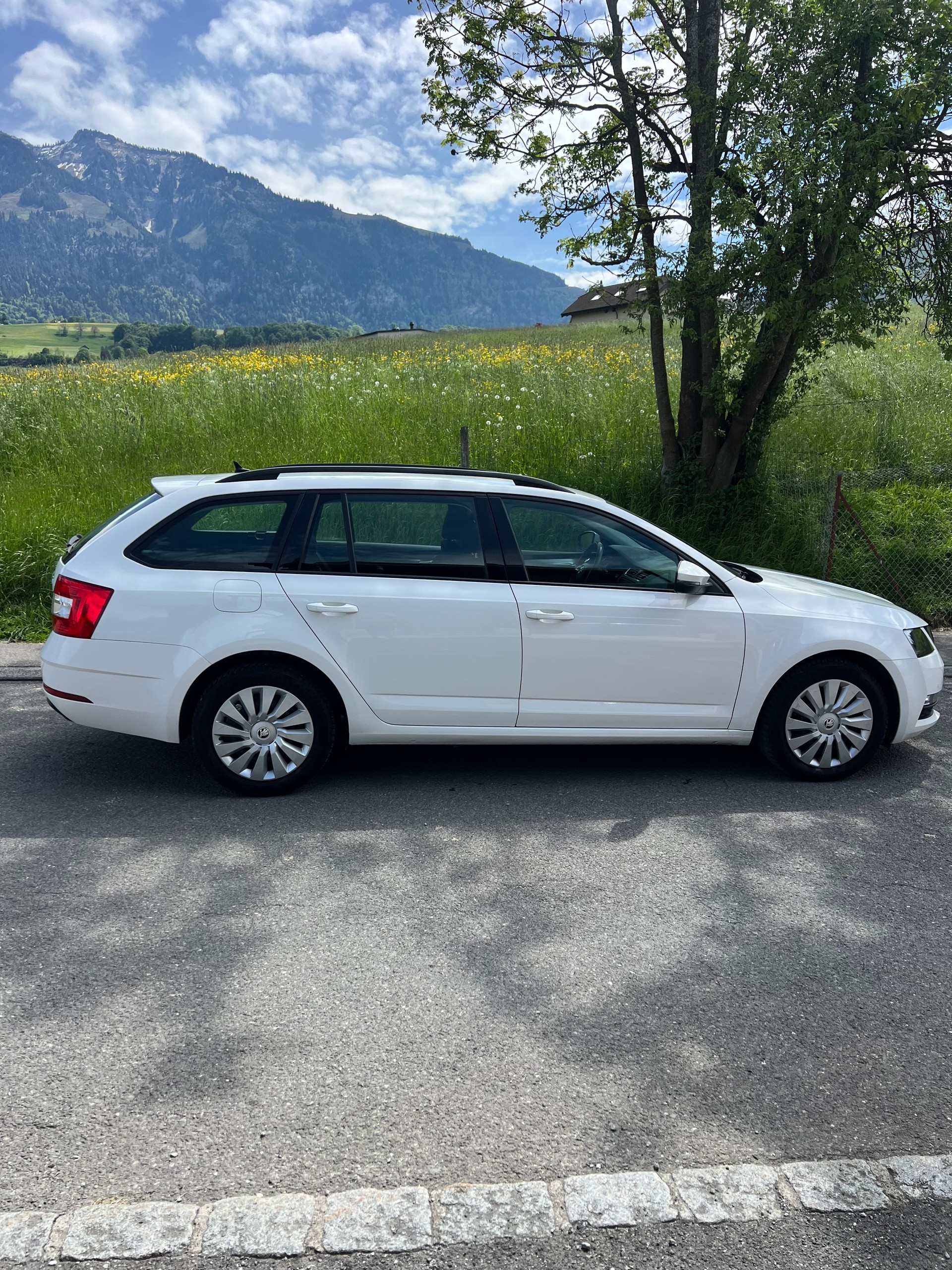 SKODA Octavia Combi 1.6 TDI Ambition-image-1