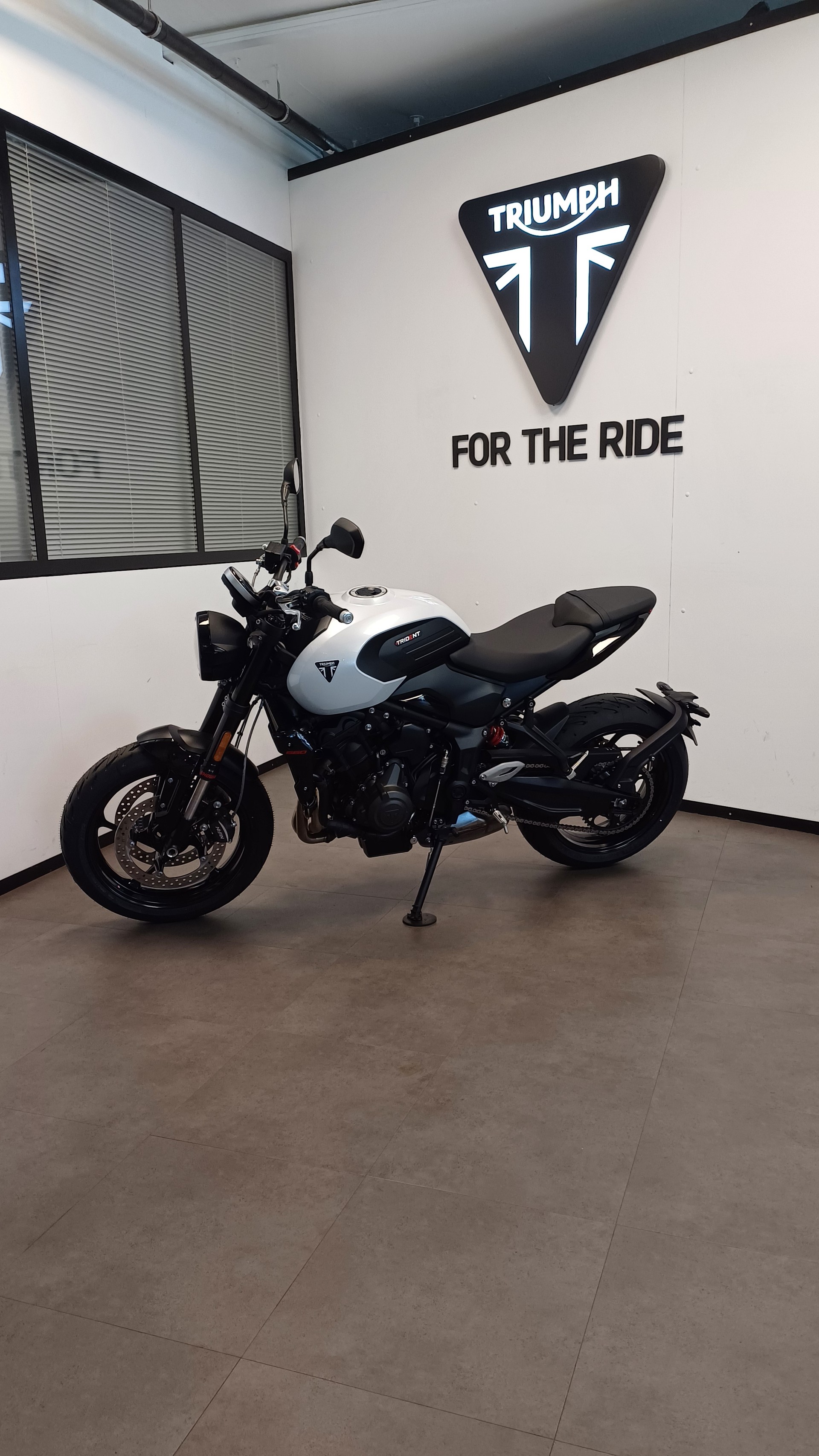 TRIUMPH Trident 660-image-1