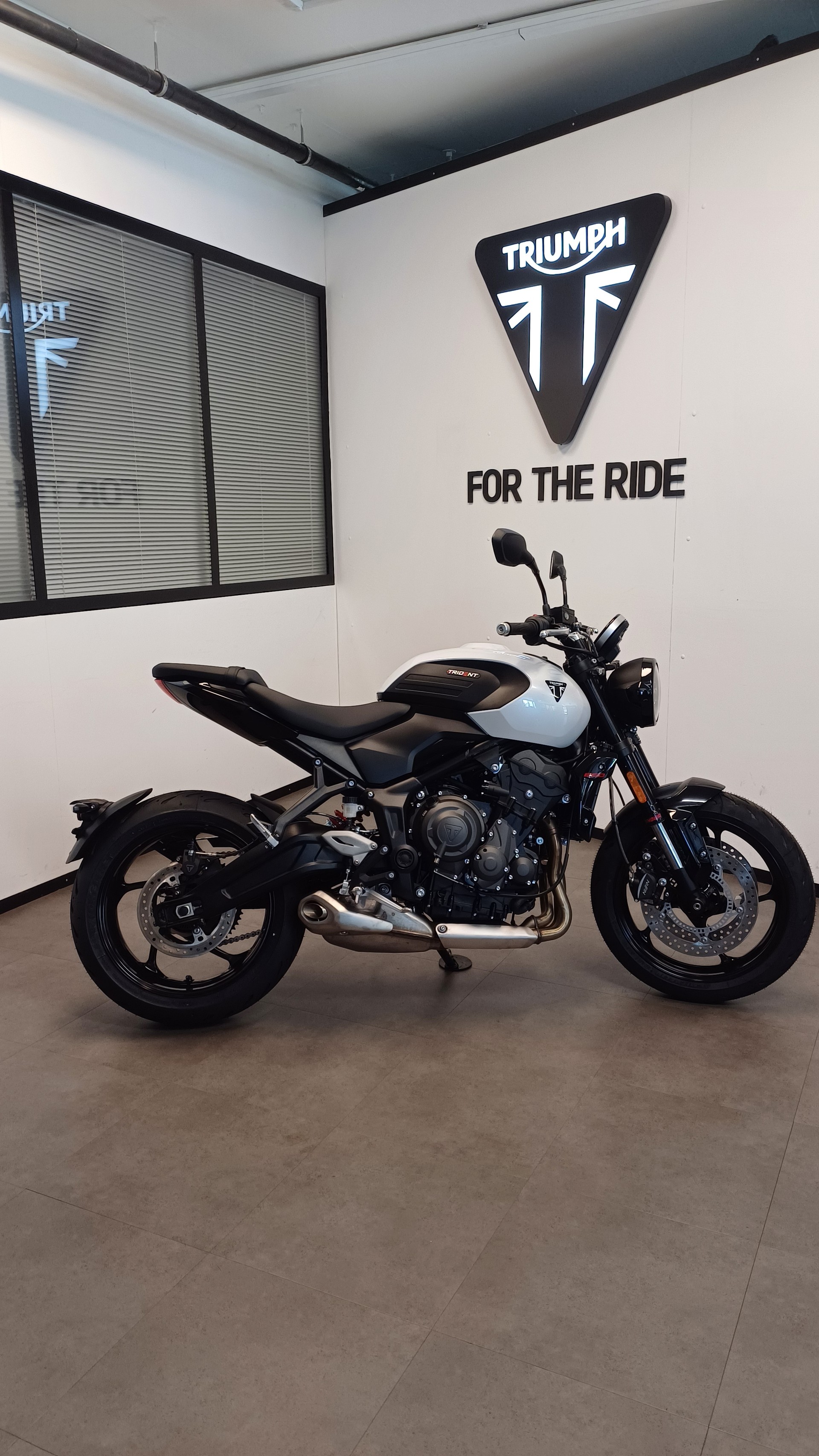 TRIUMPH Trident 660-image-3