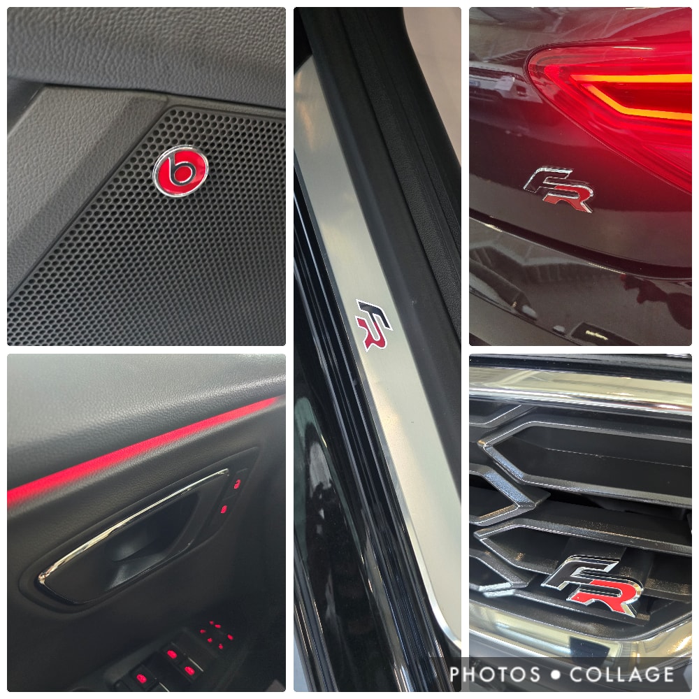 SEAT Leon 2.0 TSI FR DSG-image-20