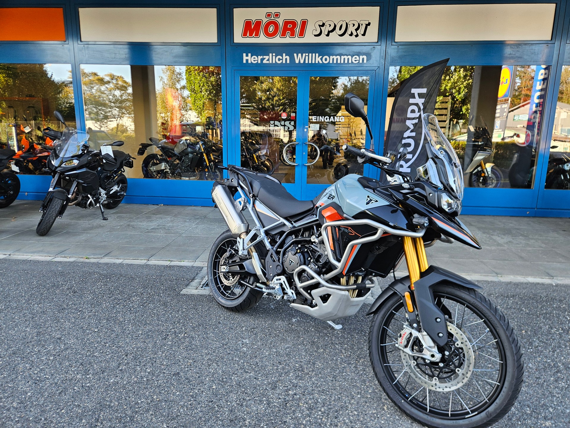 TRIUMPH Tiger 900 Desert Edition-showroom-element-1