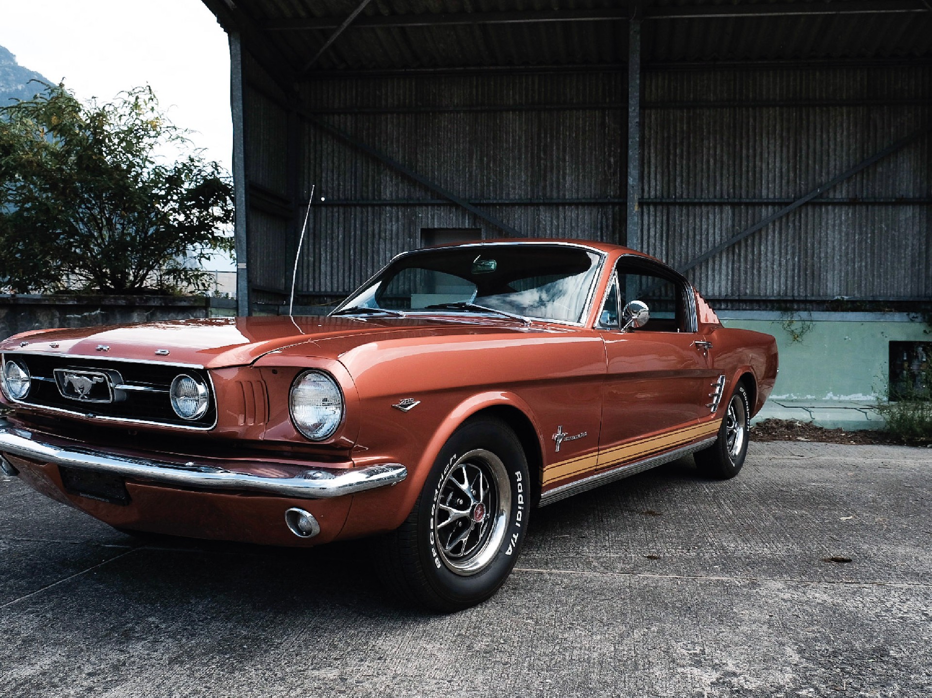 FORD Mustang // Fastback-image-1