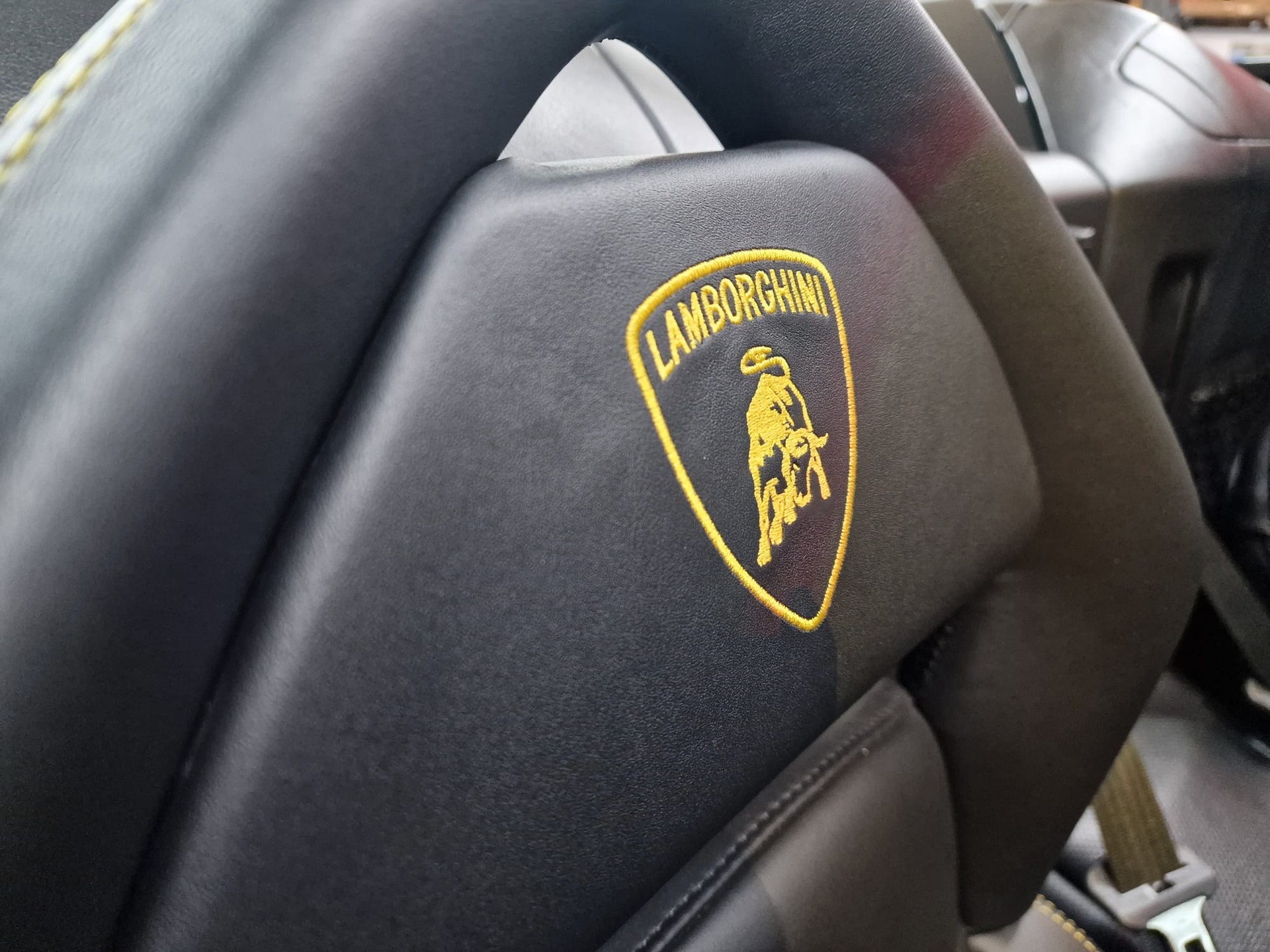 LAMBORGHINI Murciélago 6.2 Roadster-image-7