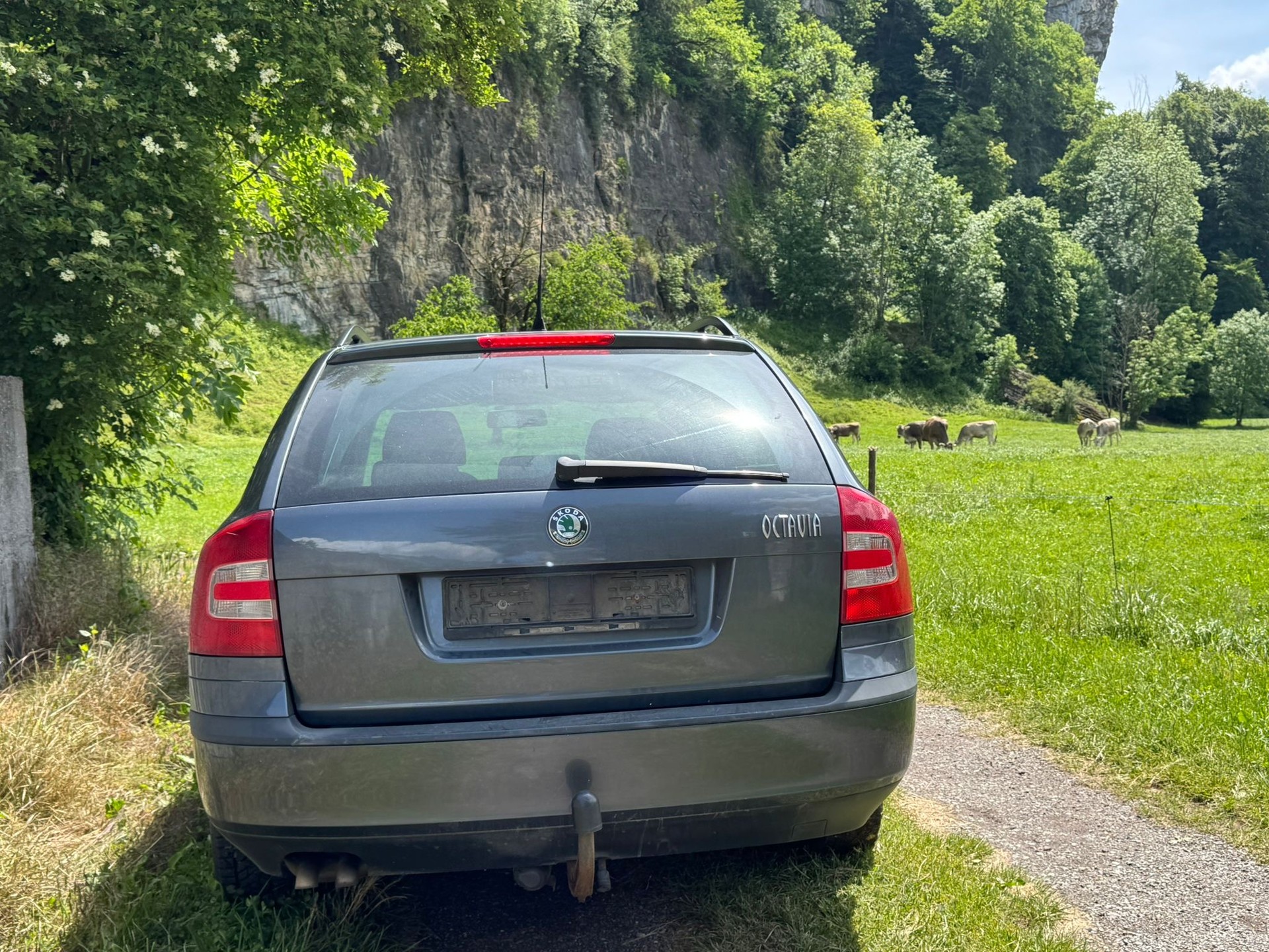 SKODA Octavia 1.9 TDI Adventure 4x4-image-12