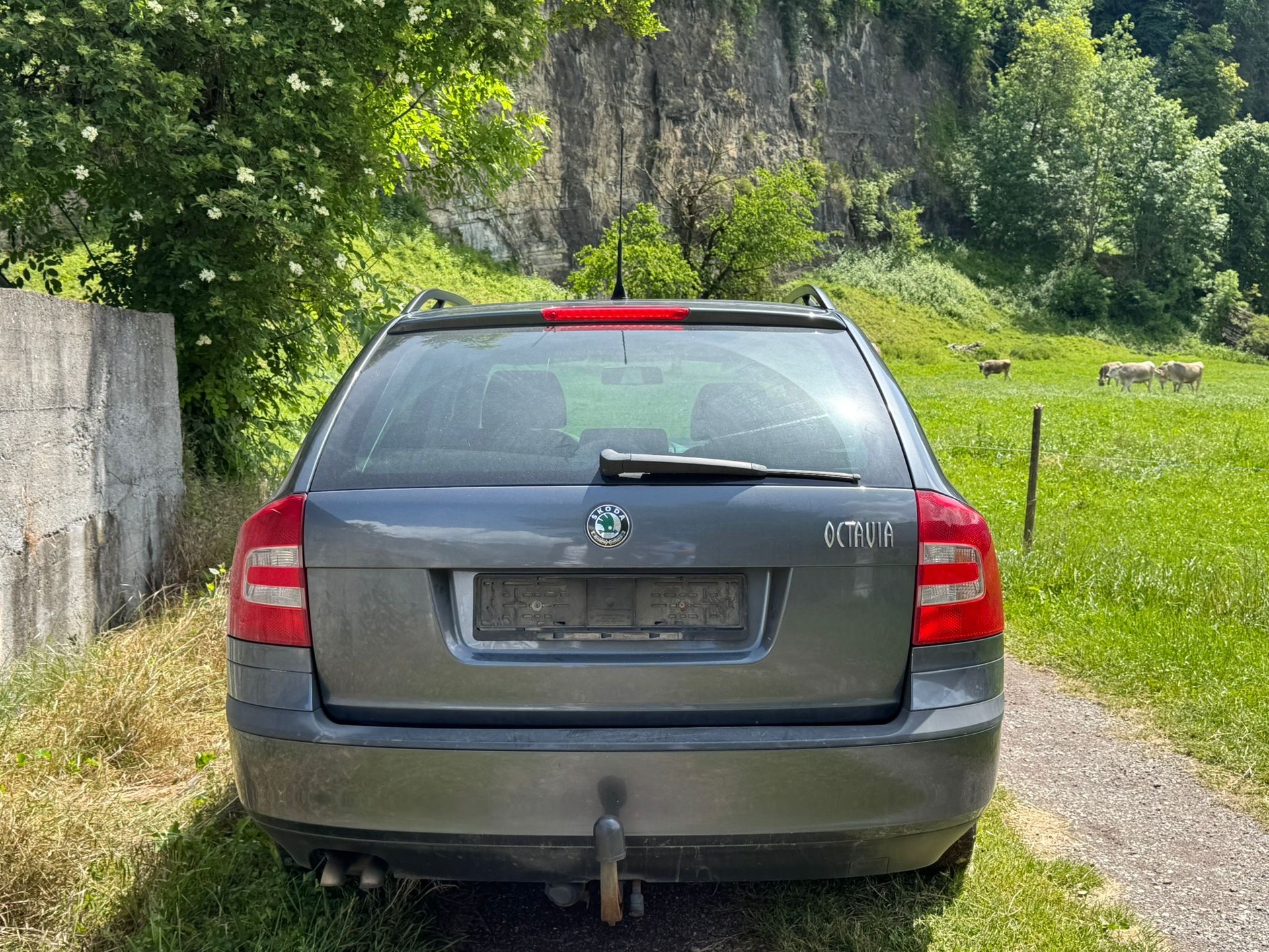 SKODA Octavia 1.9 TDI Adventure 4x4-image-5