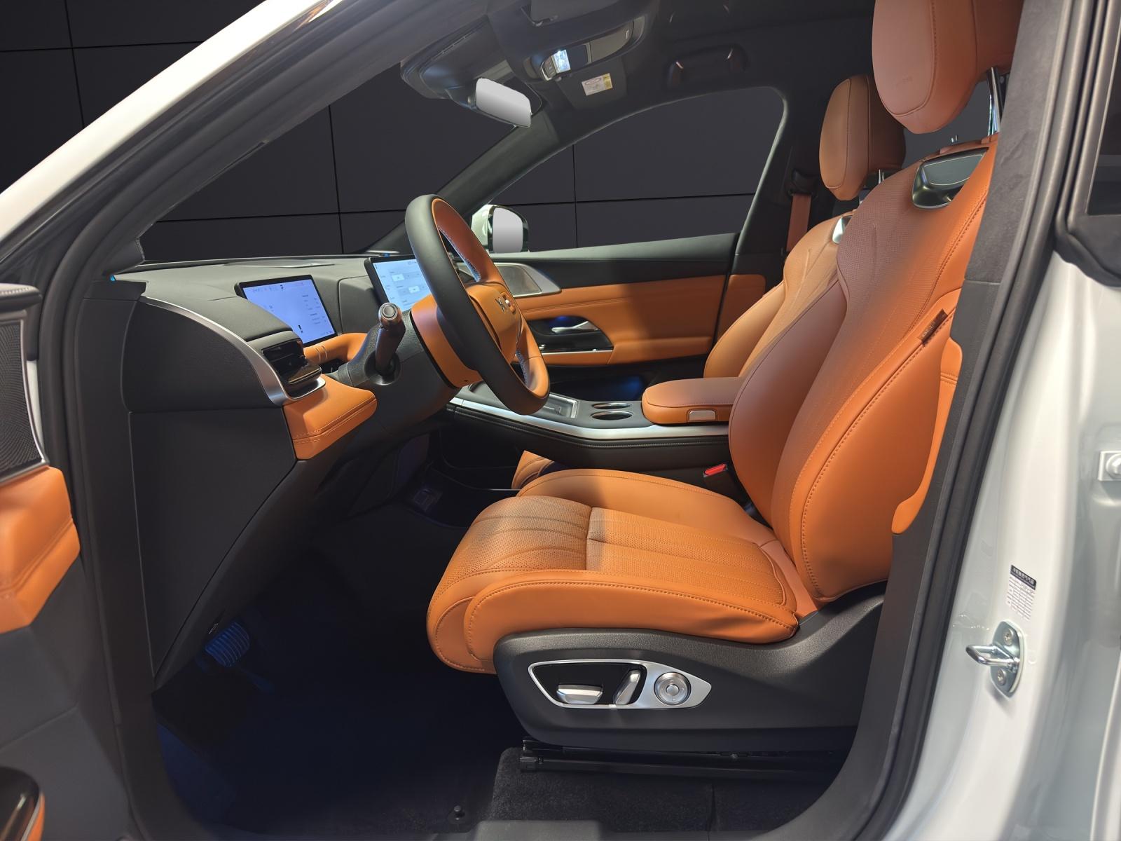 XPENG G9 Performance AWD-image-11