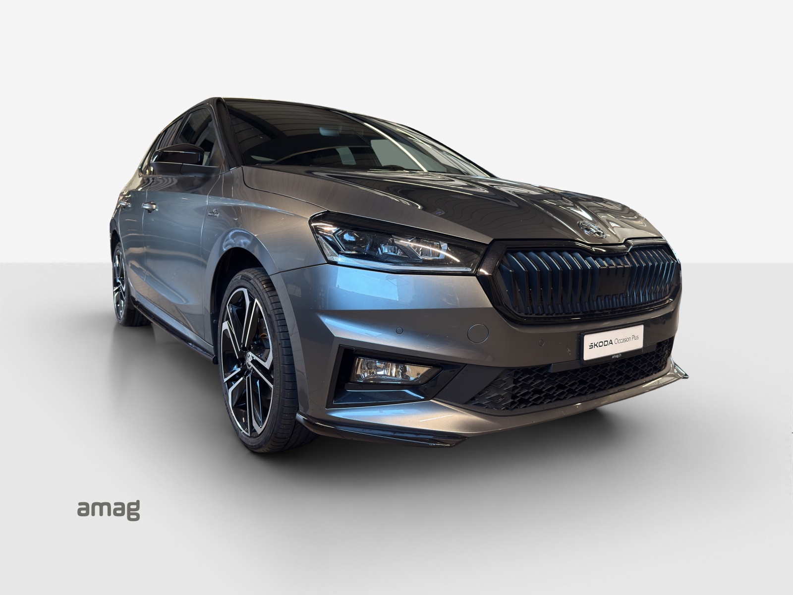 SKODA Fabia 1.5 TSI Monte Carlo DSG-image-5