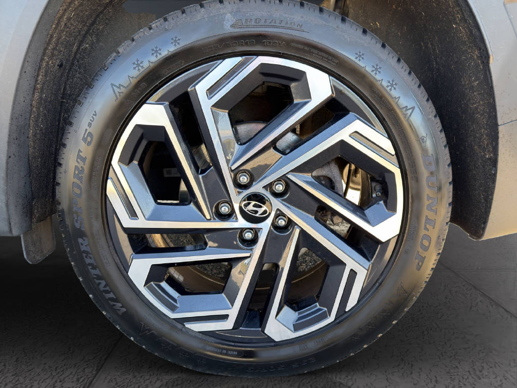 HYUNDAI Tucson 1.6 T-GDi Vertex 4WD-image-13