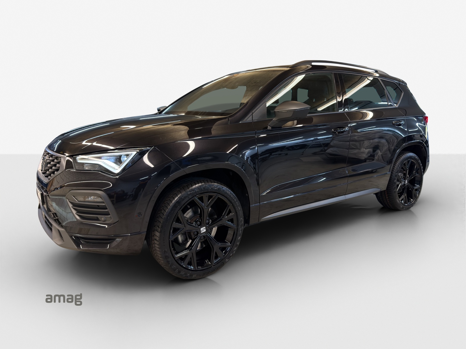SEAT Ateca 2.0 TSI Hola FR 4Drive DSG-image-0