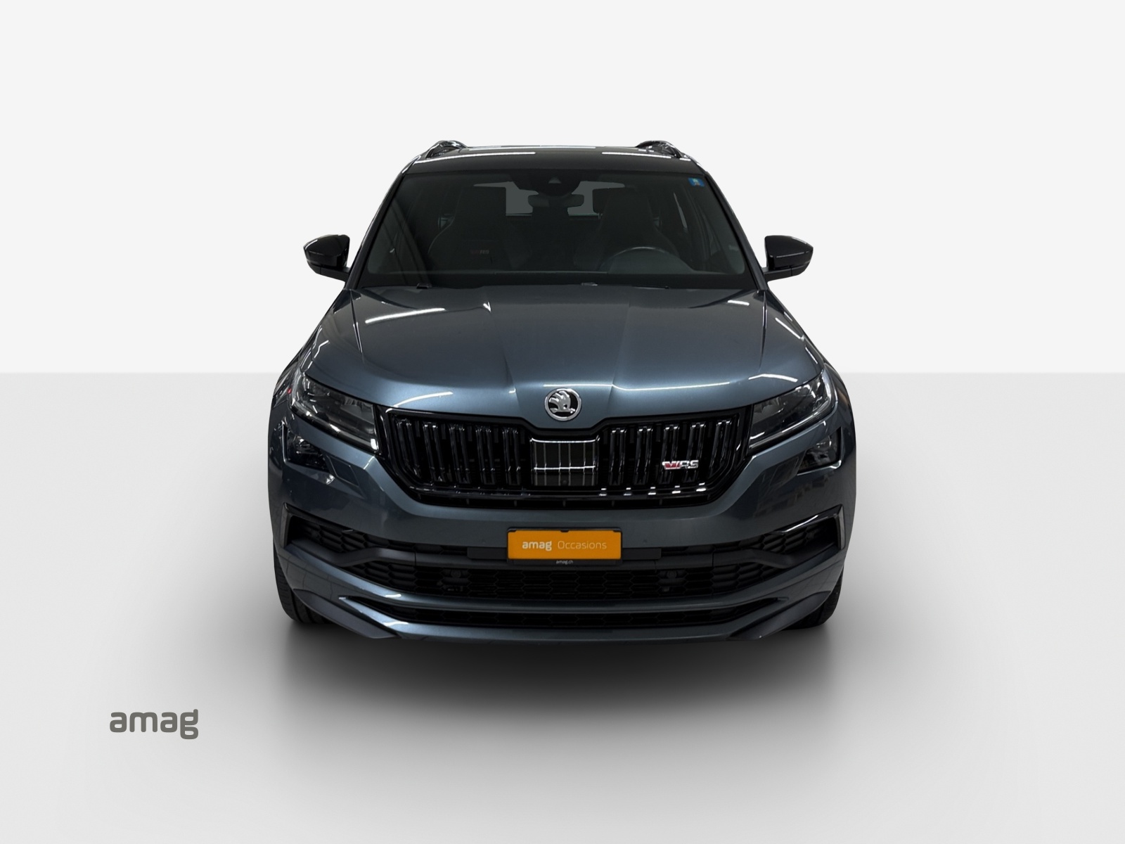 SKODA Kodiaq 2.0 Bi-TDI SCR RS 4x4 DSG-image-6