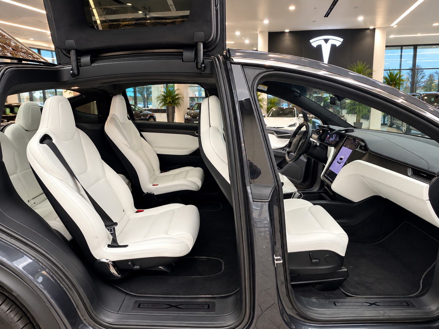TESLA 100 D Full FSD-image-2