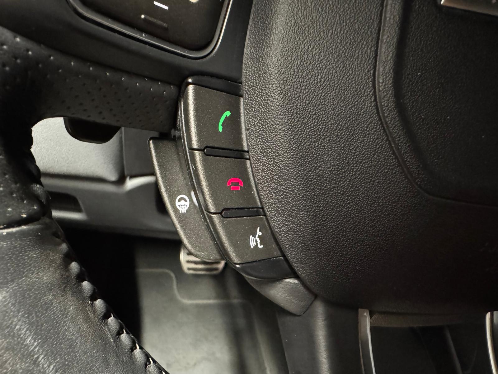 LAND ROVER Range Rover Evoque Convert. 2.0 Si4 SE Dynamic AT9-image-16