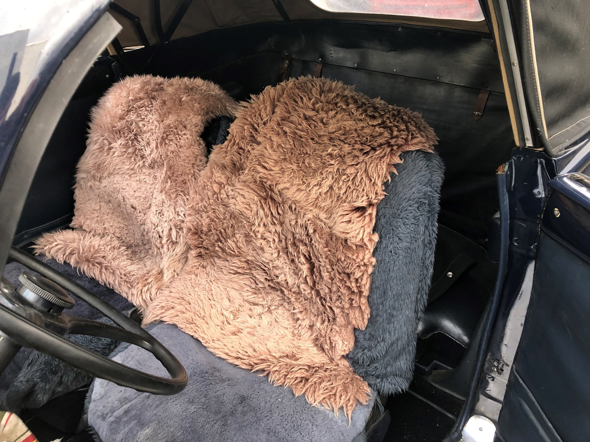 PEUGEOT 302 Cabrio-image-12