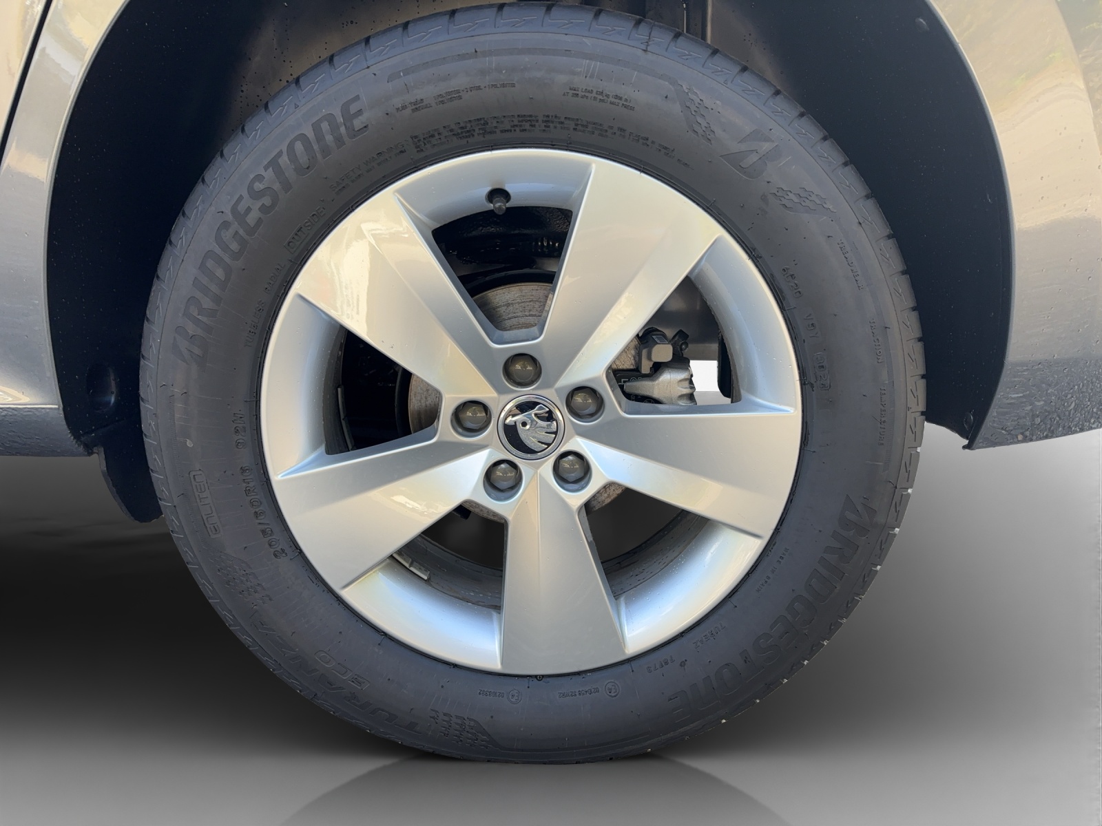 SKODA Kamiq 1.0 TSI Selection DSG-image-13