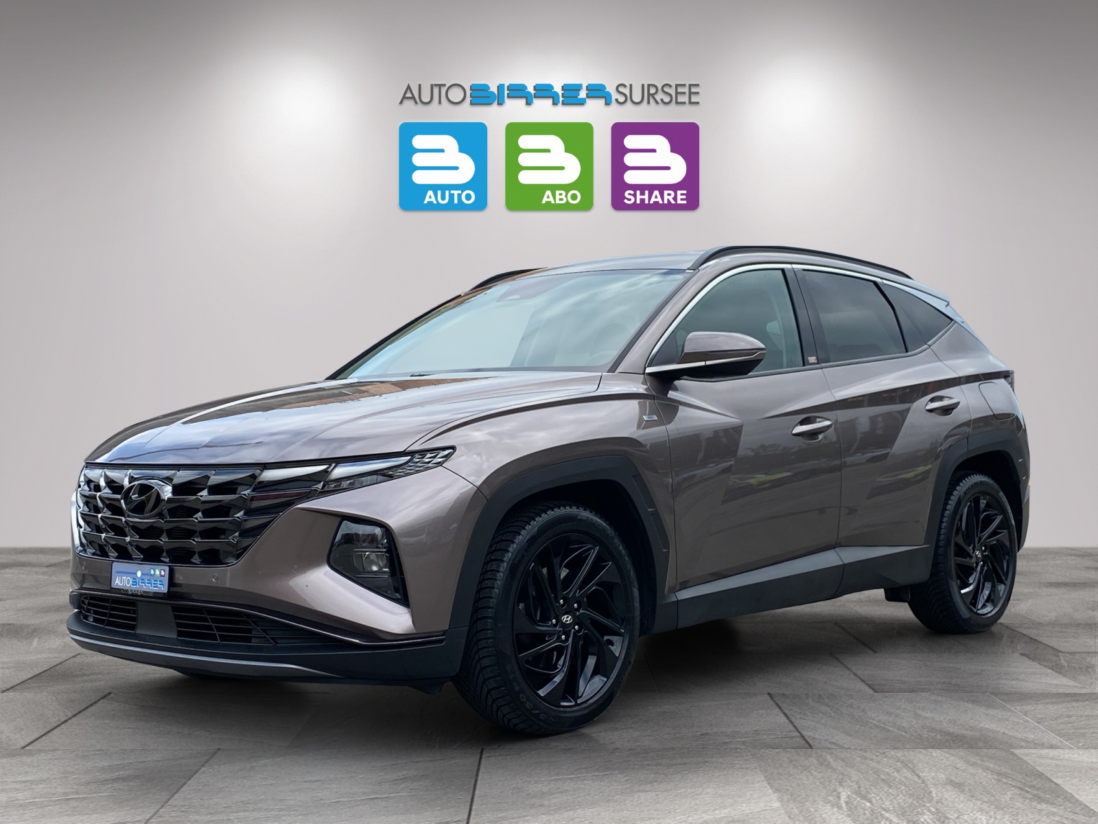 HYUNDAI Tucson 1.6 T-GDi Amplia 4WD-image-0