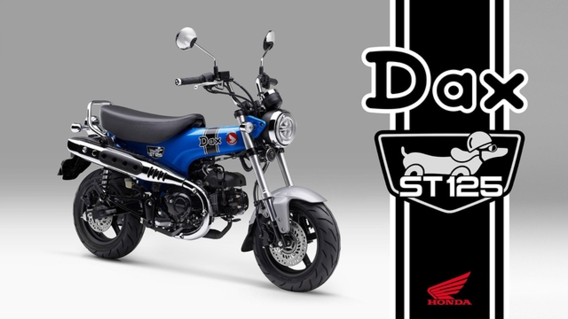 HONDA ST 125 Dax-showroom-element-1