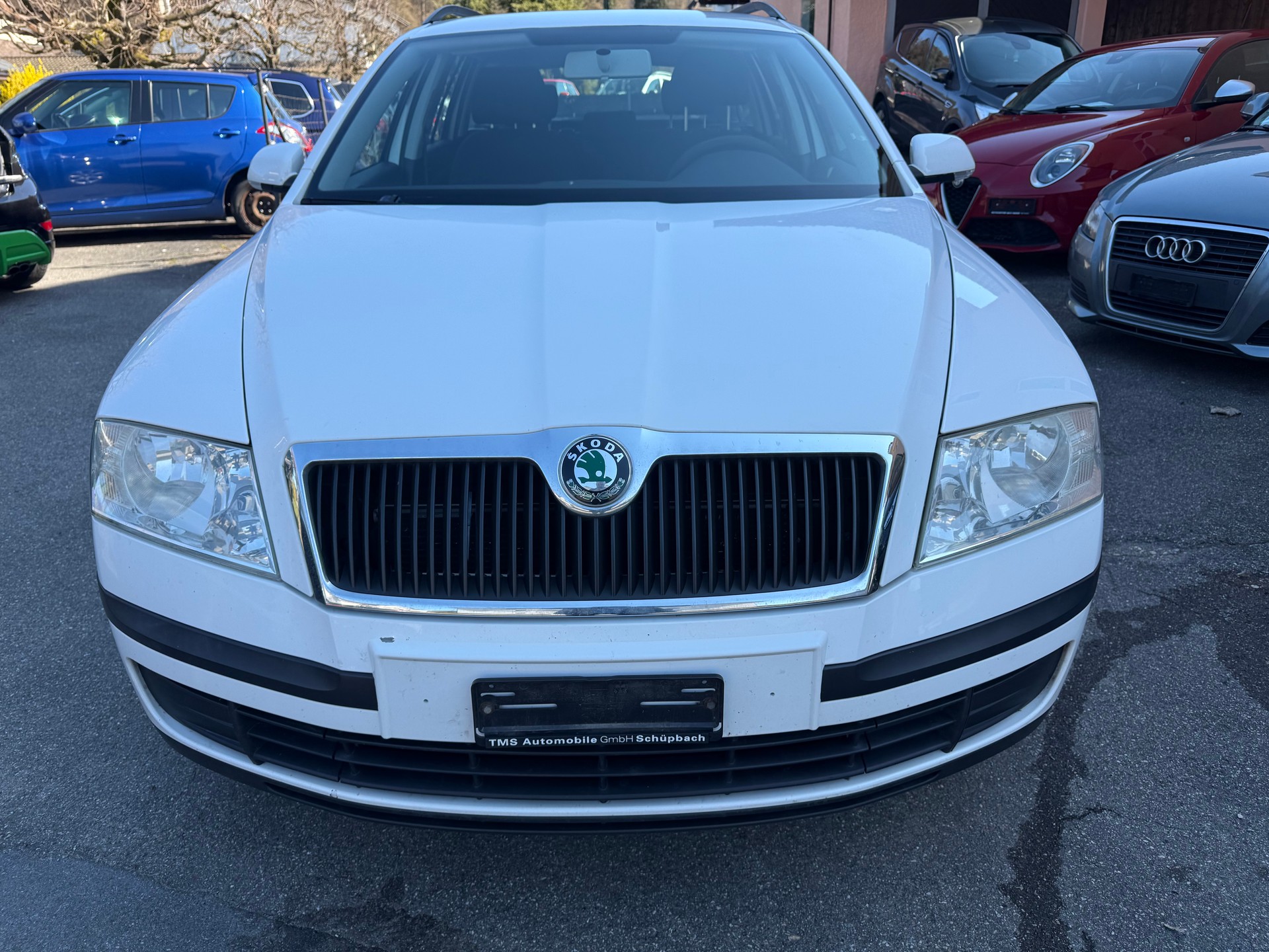 SKODA Octavia 1.9 TDI Swiss Adventure 4x4-image-1