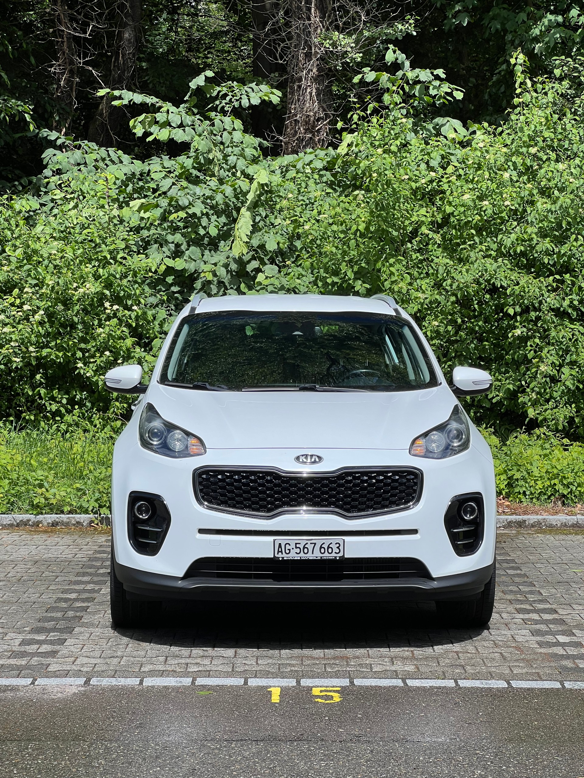 KIA 2.0 CRDi Trend-image-1