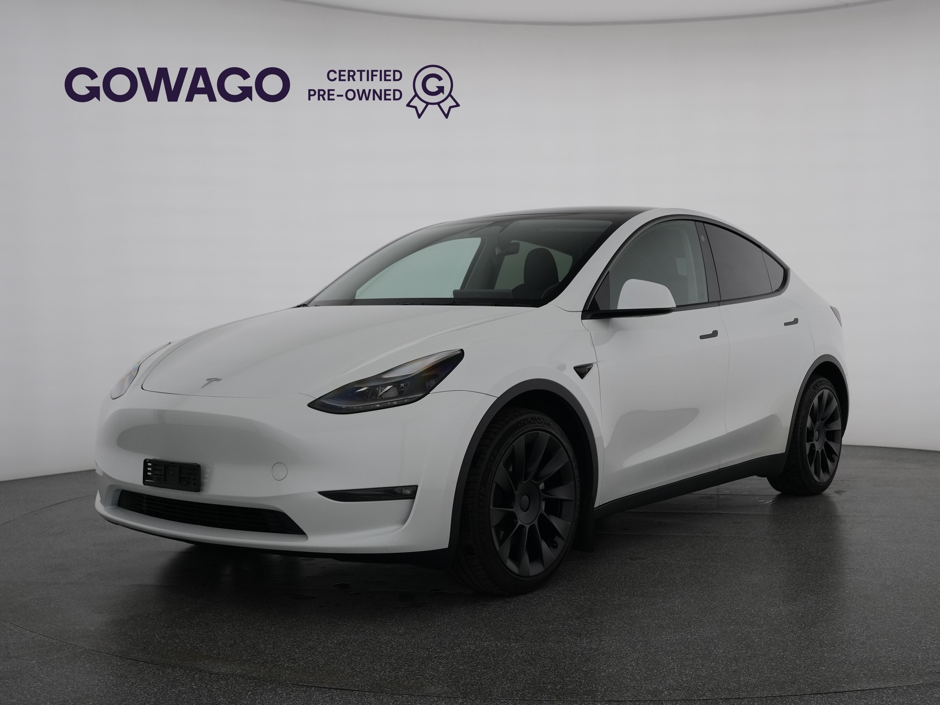 TESLA Model Y Long Range