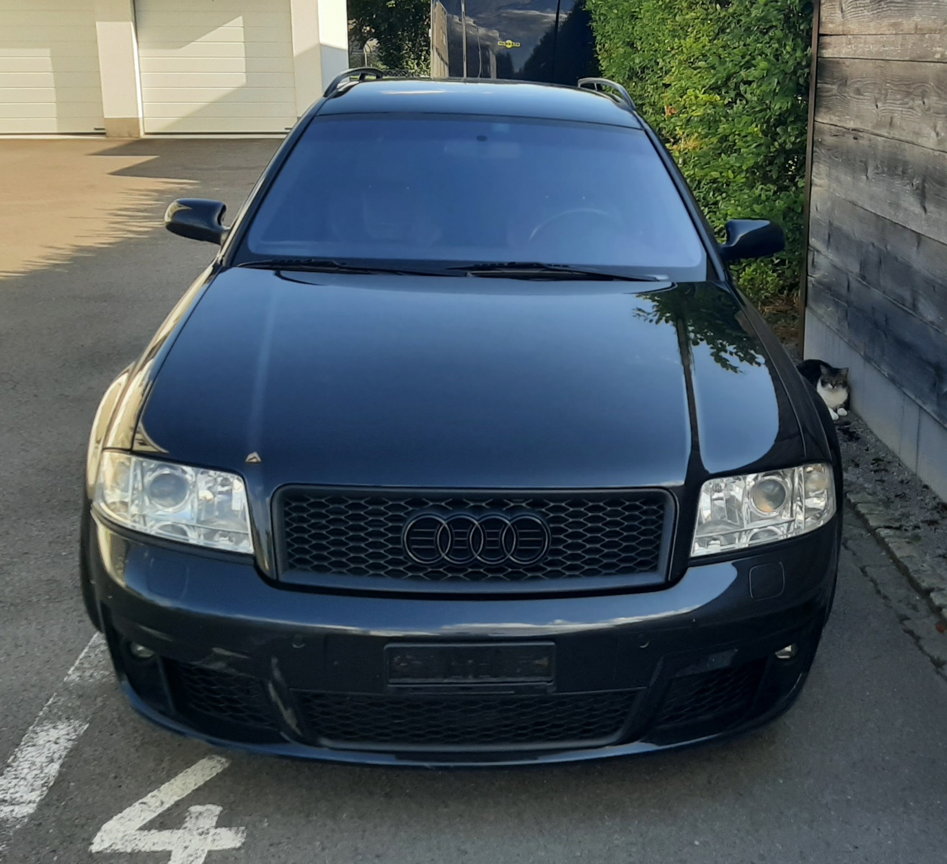 AUDI AUDI RS6 PLUS AVANT / Nr. 247-image-2