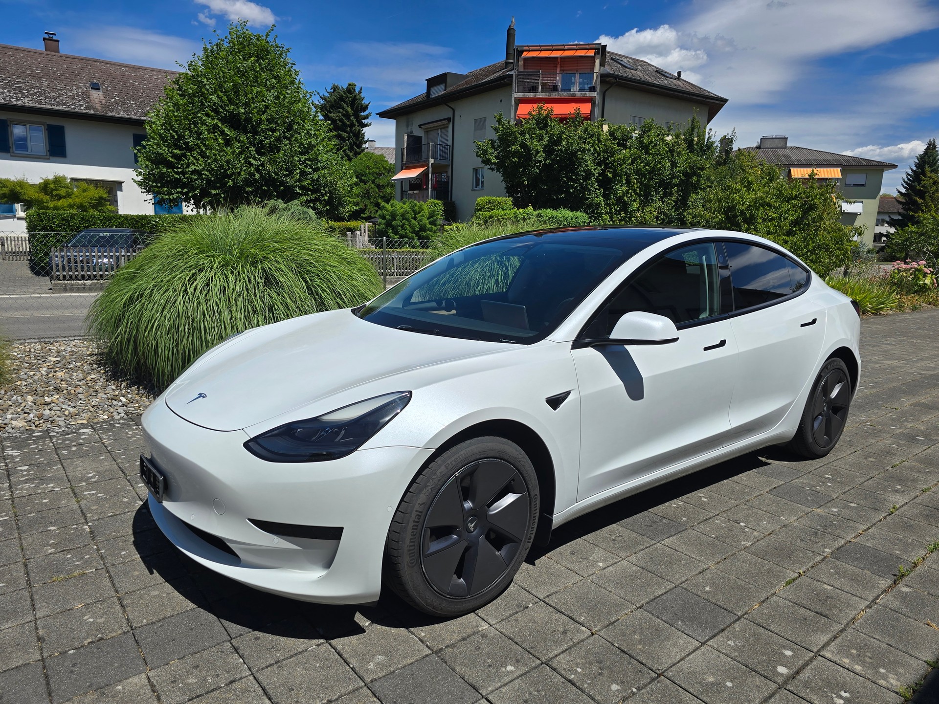 TESLA Standart Range Plus-image-1