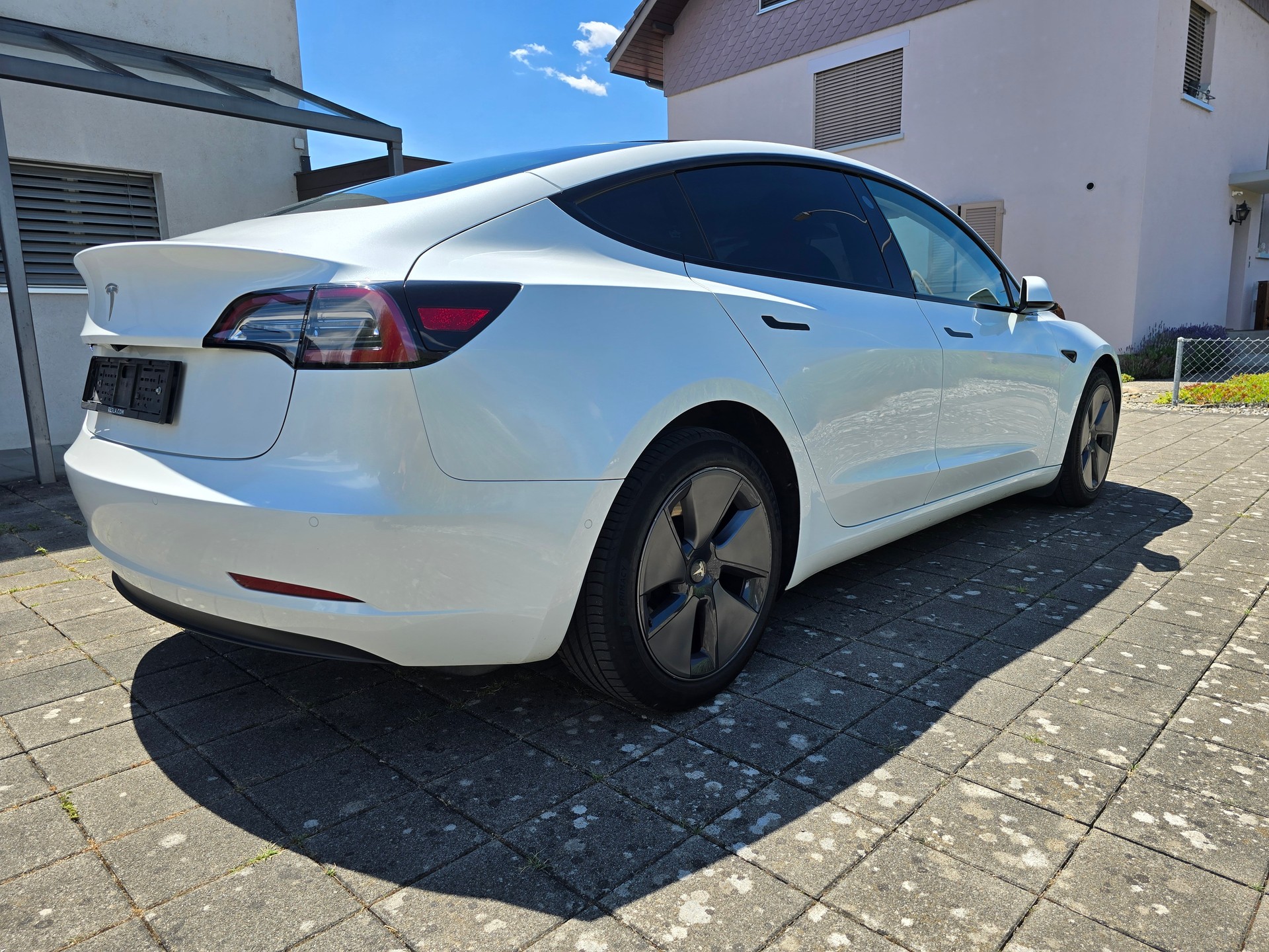 TESLA Standart Range Plus-image-2