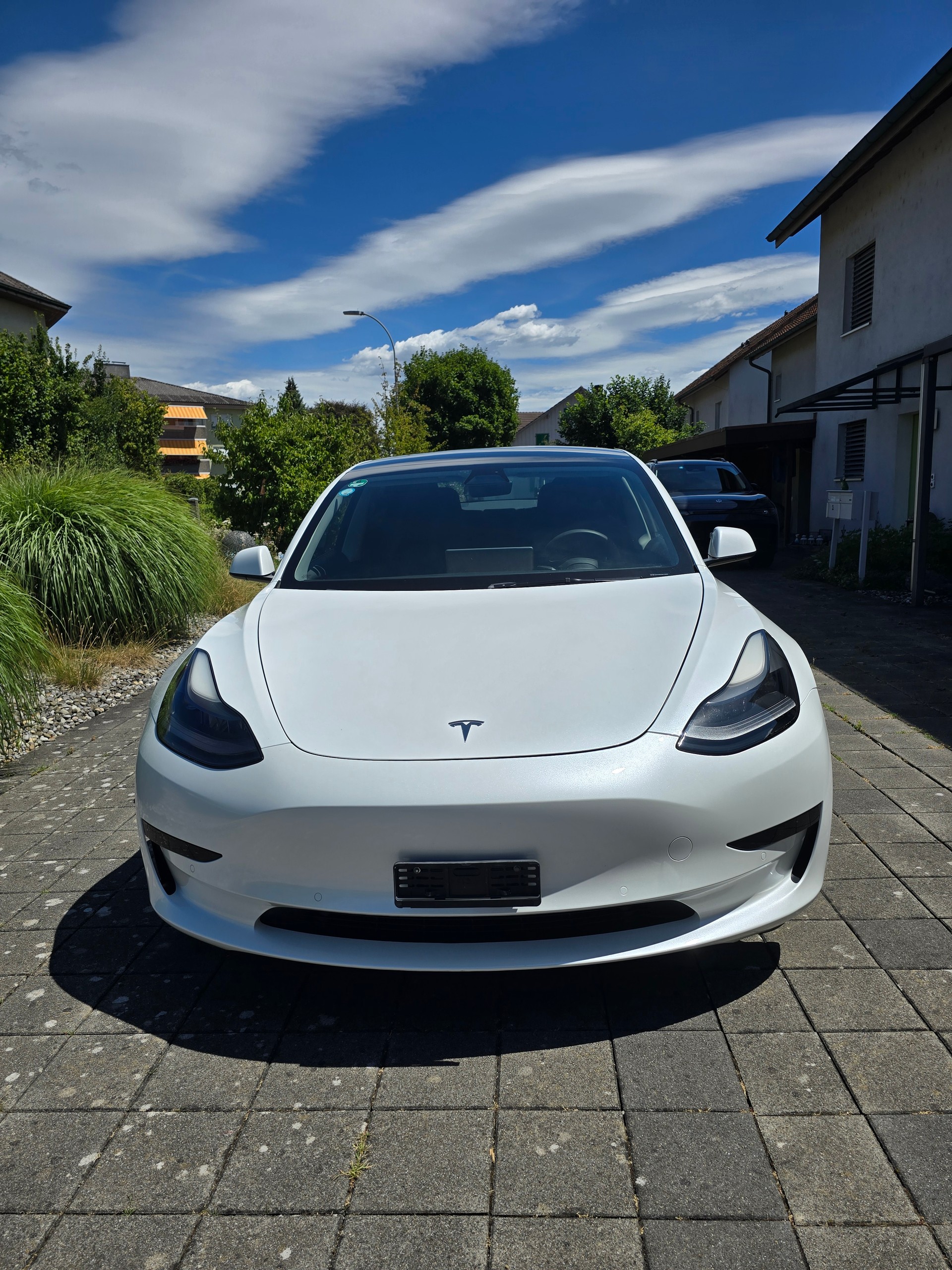 TESLA Standart Range Plus-image-0