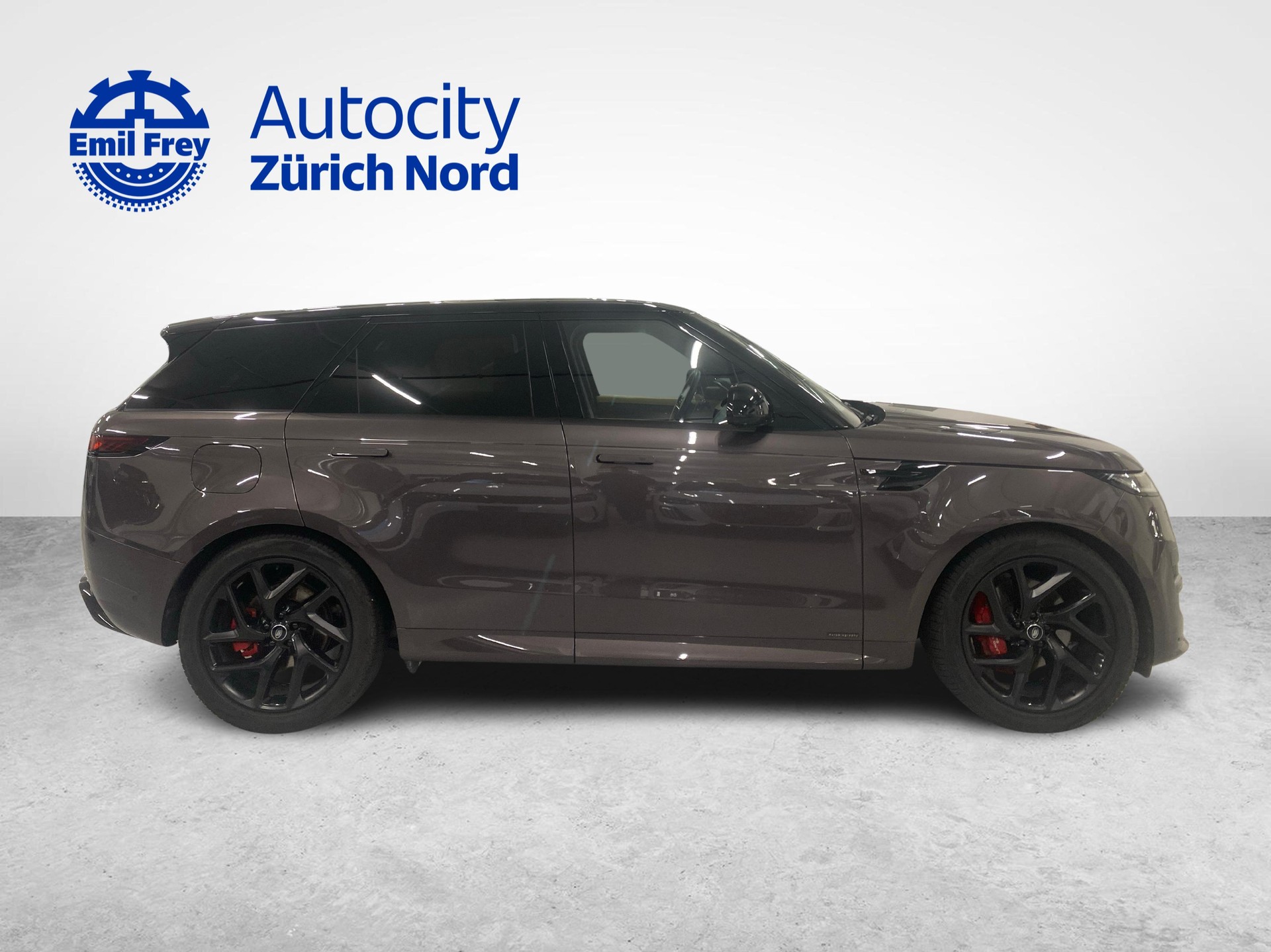 LAND ROVER Range Rover Sport 3.0 I6 350 Autobiography-image-8