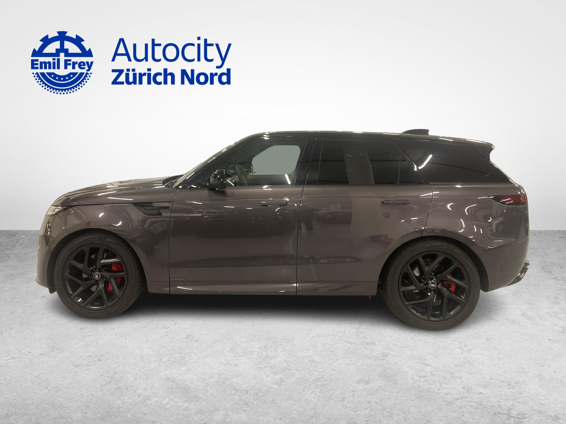 LAND ROVER Range Rover Sport 3.0 I6 350 Autobiography-image-7