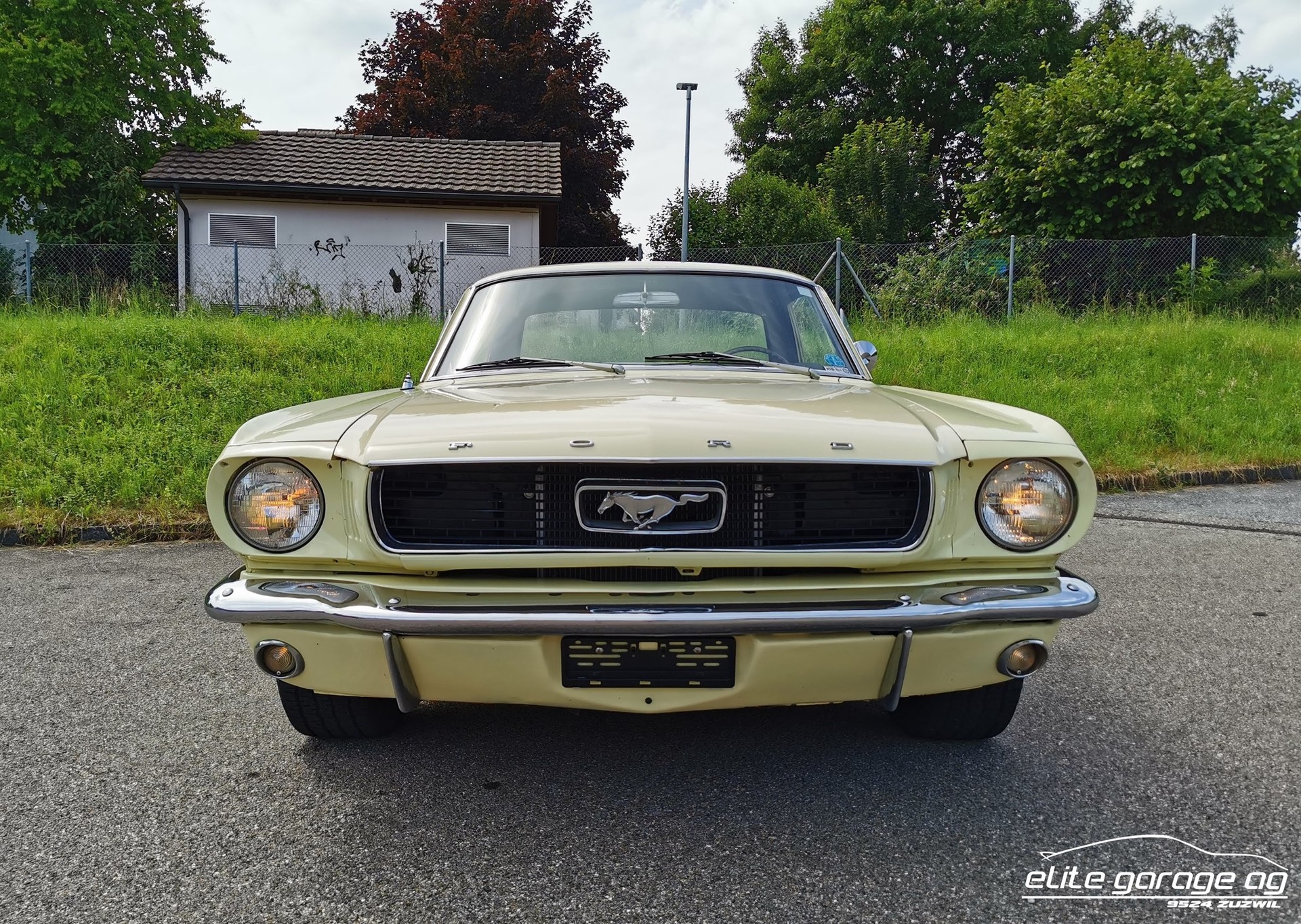 FORD MUSTANG 4.7 V8-image-1