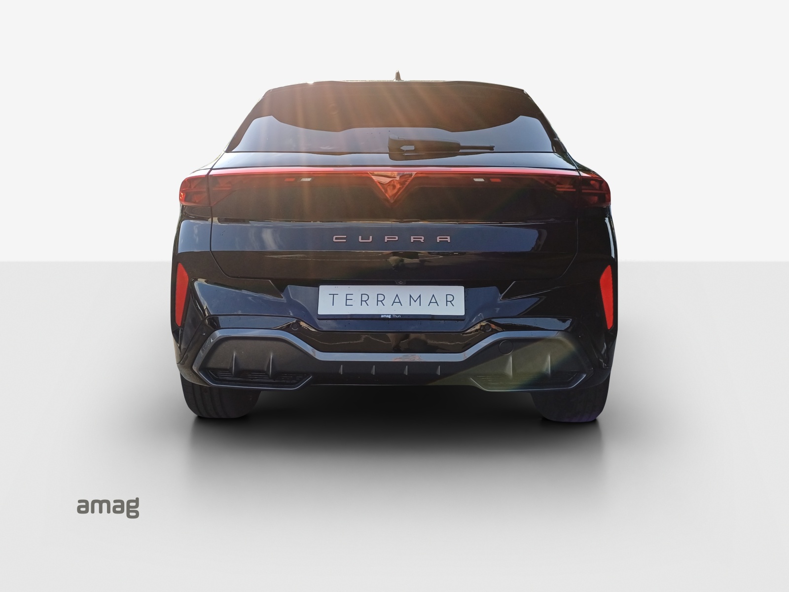 CUPRA CUPRA TERRAMAR VZ e-HYBRID PRIME EDITION-image-3