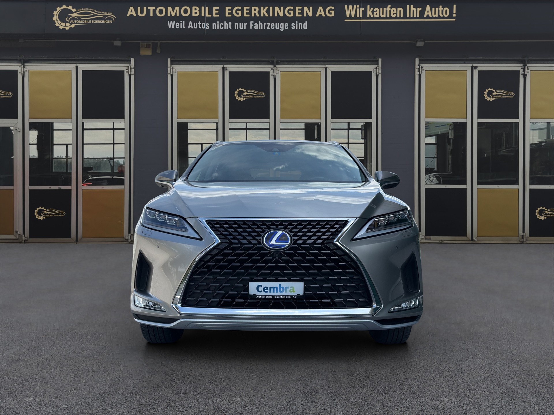 LEXUS RX 450h Excellence-image-1