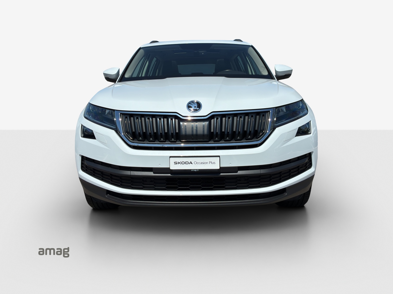 SKODA Kodiaq 2.0 TSI 4x4 Style-image-6