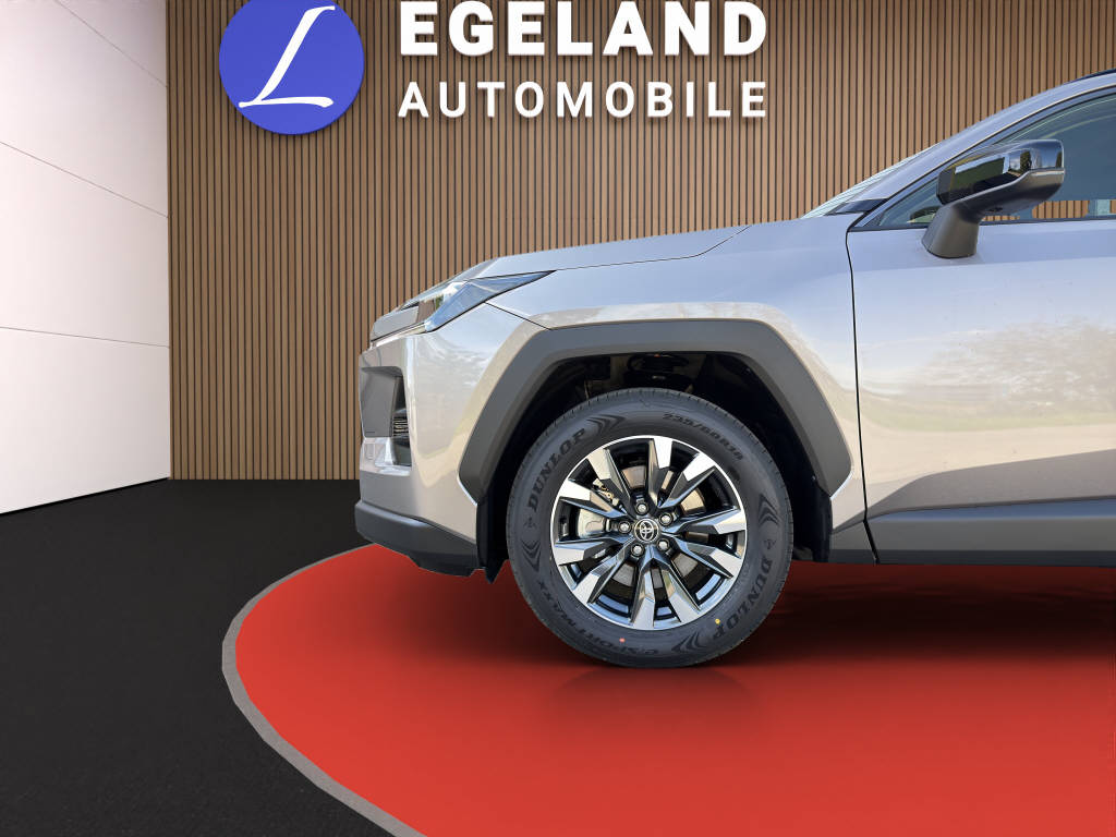 TOYOTA RAV-4 2.5 HEV Trend 4WD-image-9