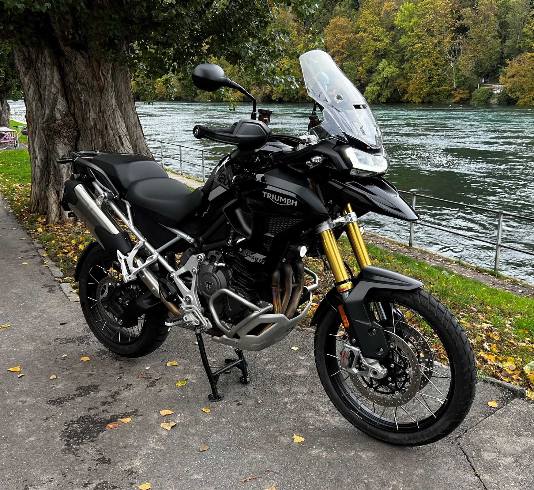 TRIUMPH Tiger 1200 Rally Pro-showroom-element-2
