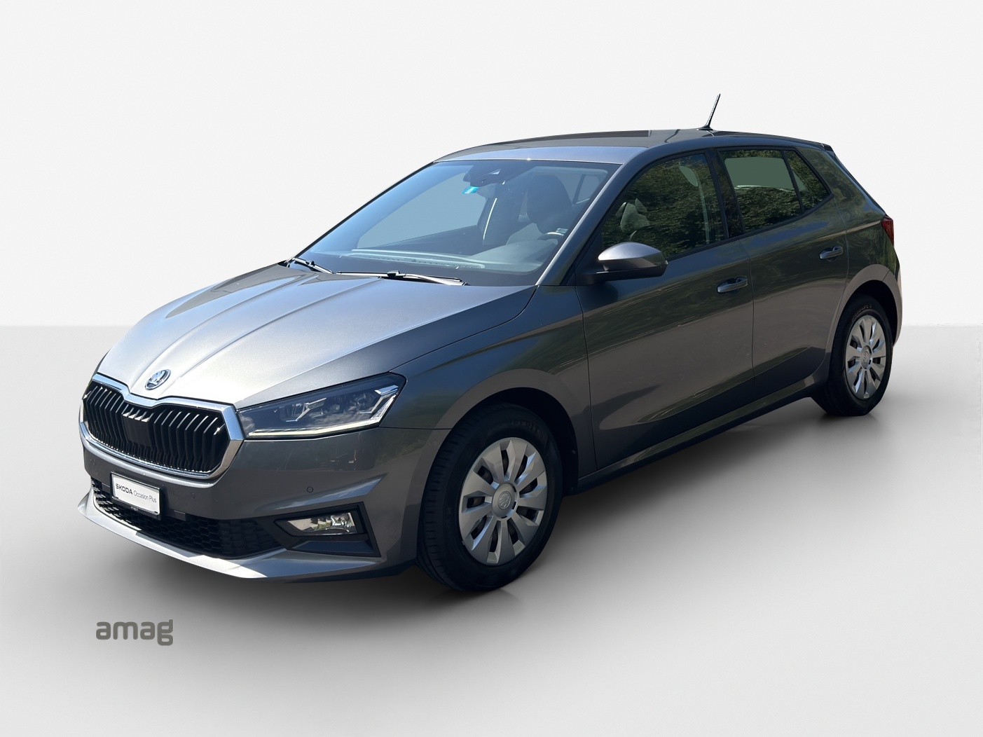 SKODA Fabia 1.0 TSI Ambition DSG-image-0