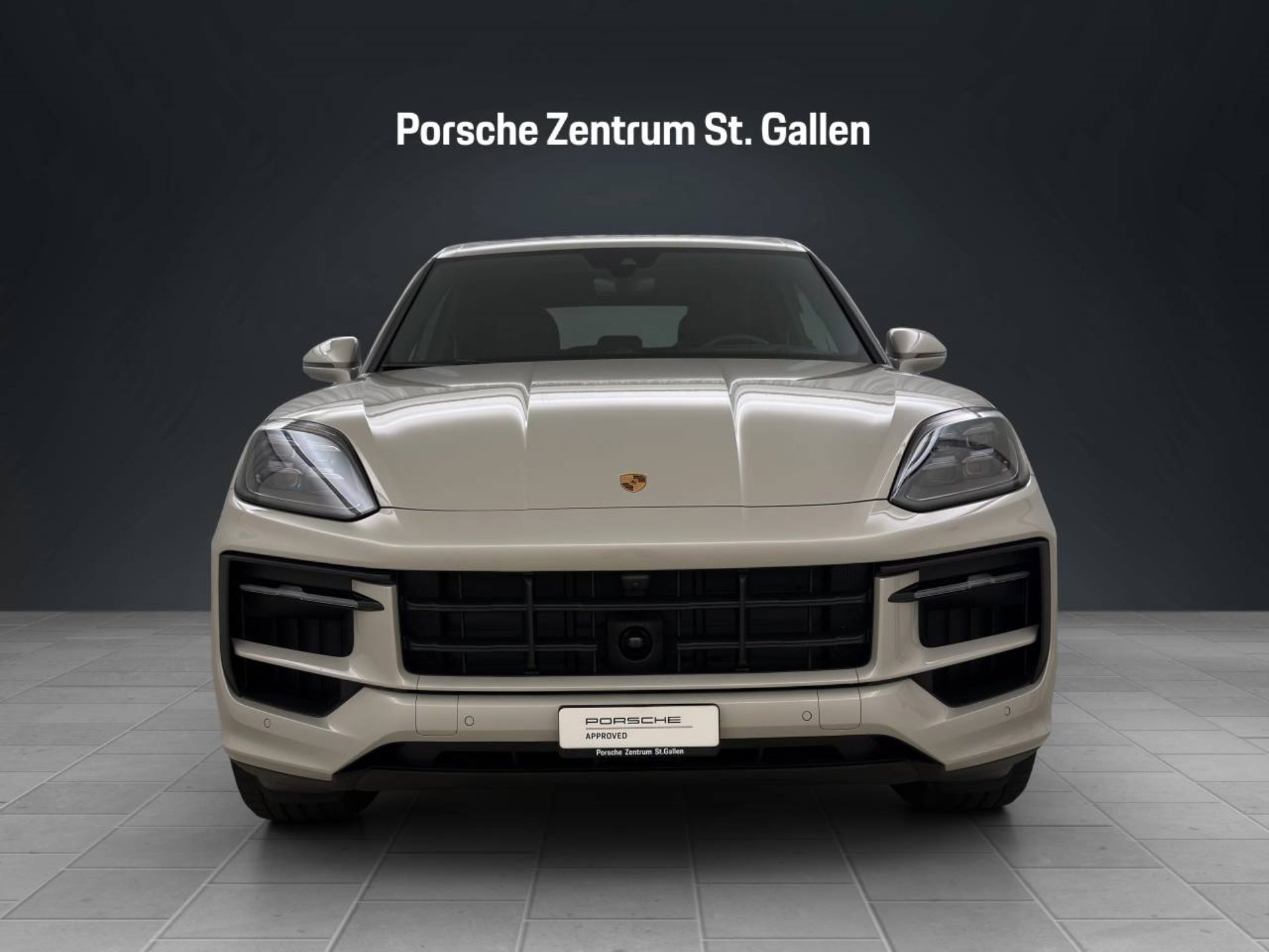 PORSCHE Cayenne E-Hybrid-image-9