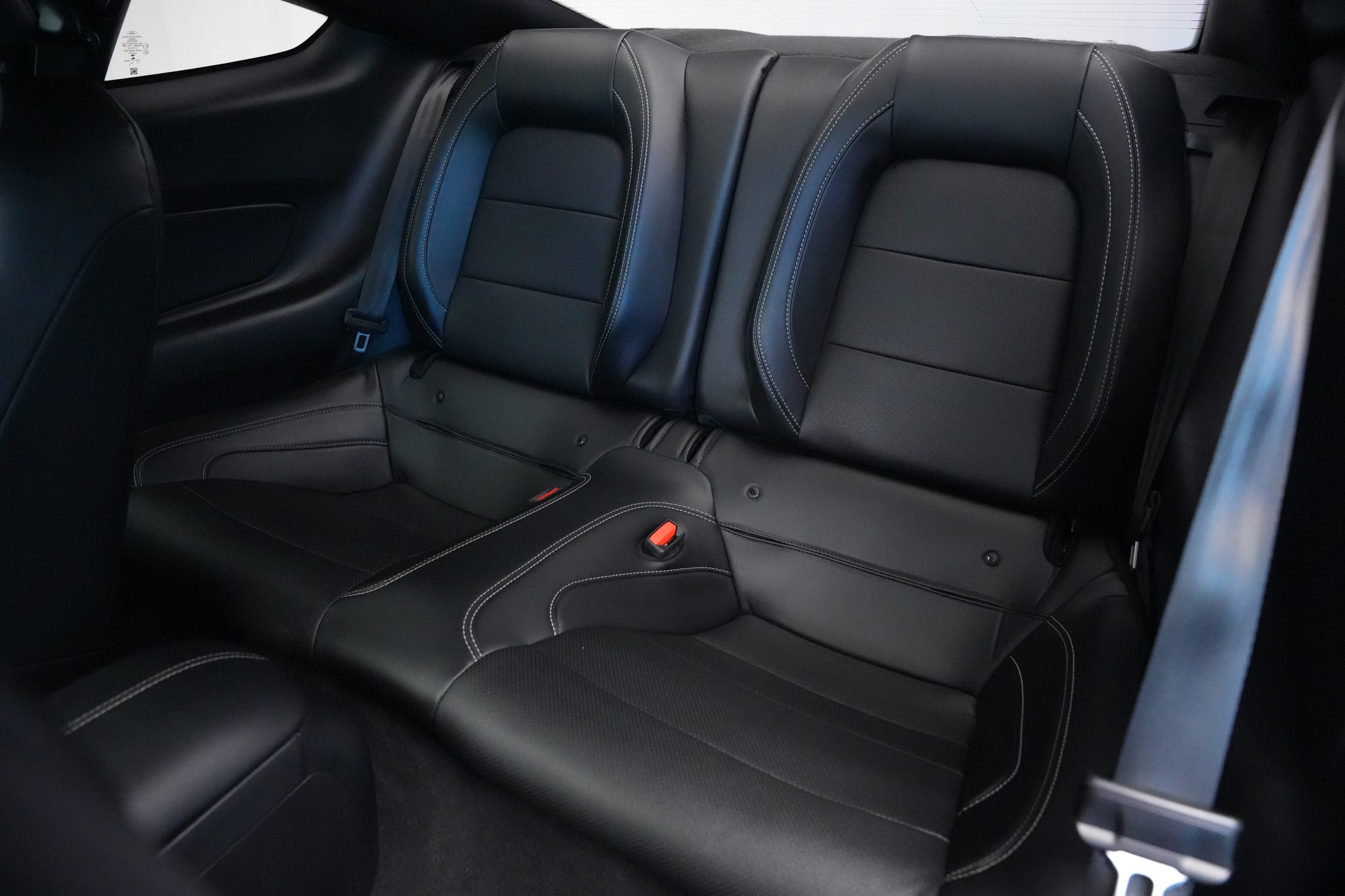 FORD Mustang Fastback 5.0 V8 Mach 1-image-14