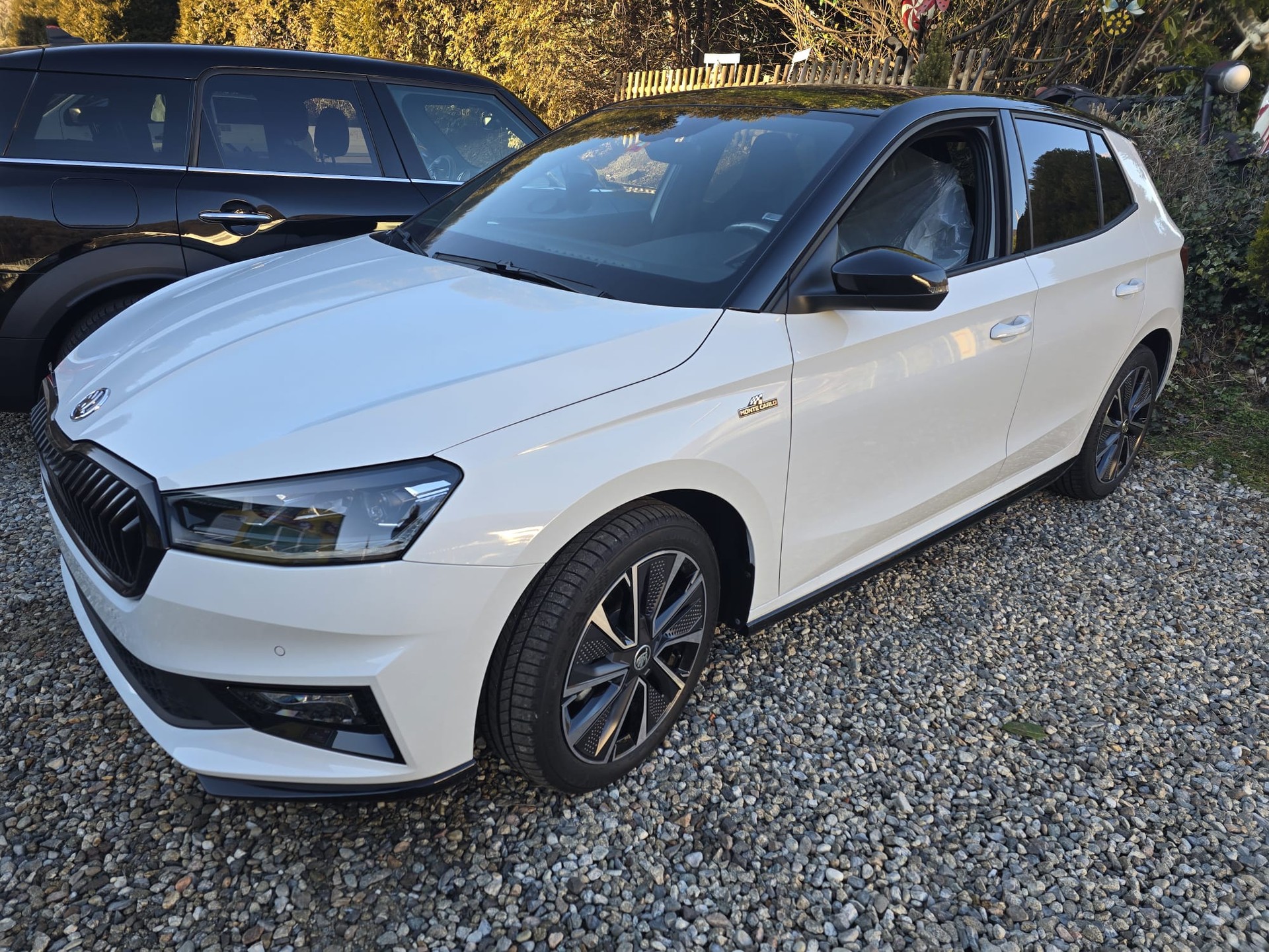 SKODA Fabia 1.0 TSI Monte Carlo DSG-image-1