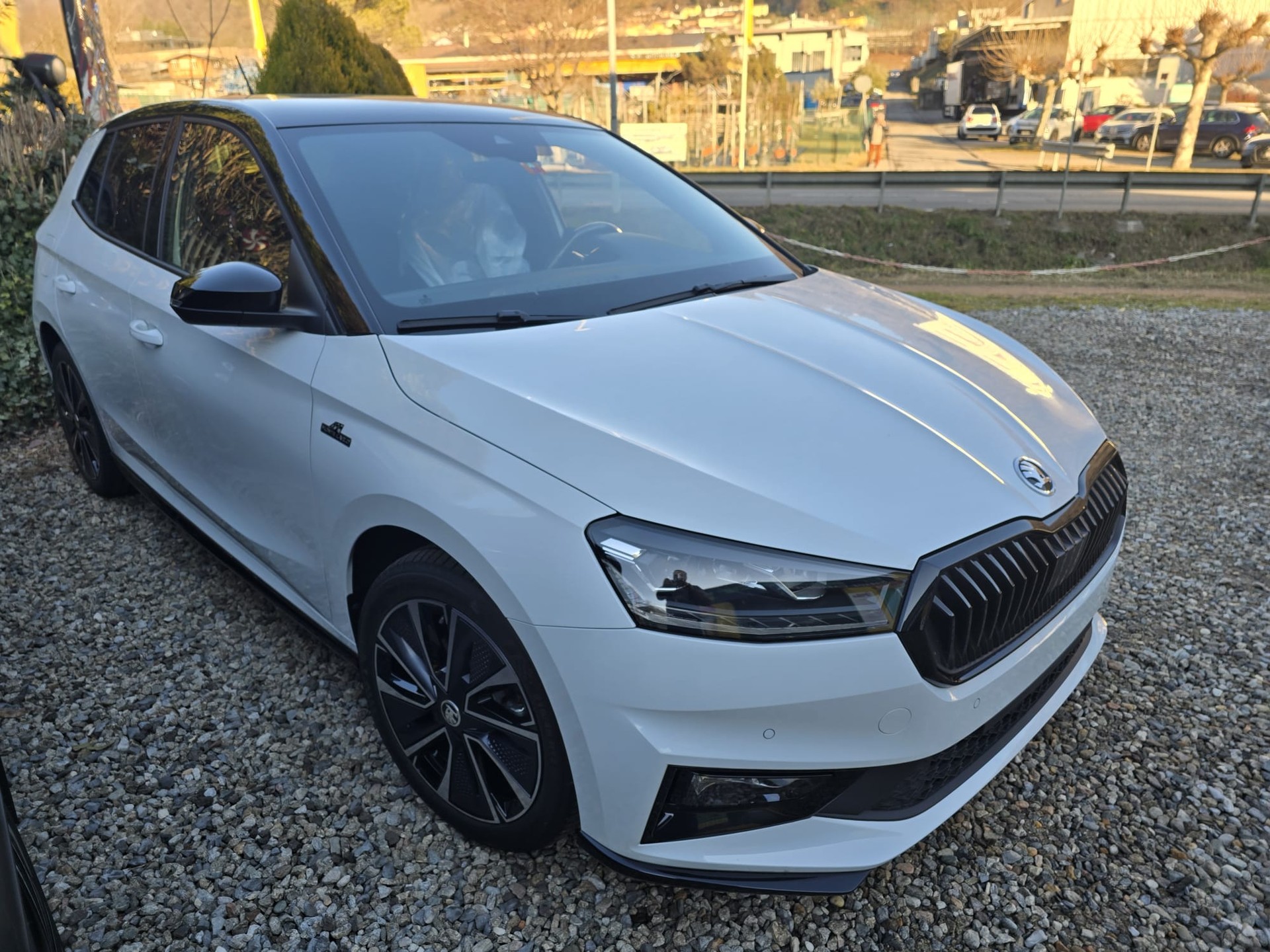 SKODA Fabia 1.0 TSI Monte Carlo DSG-image-0