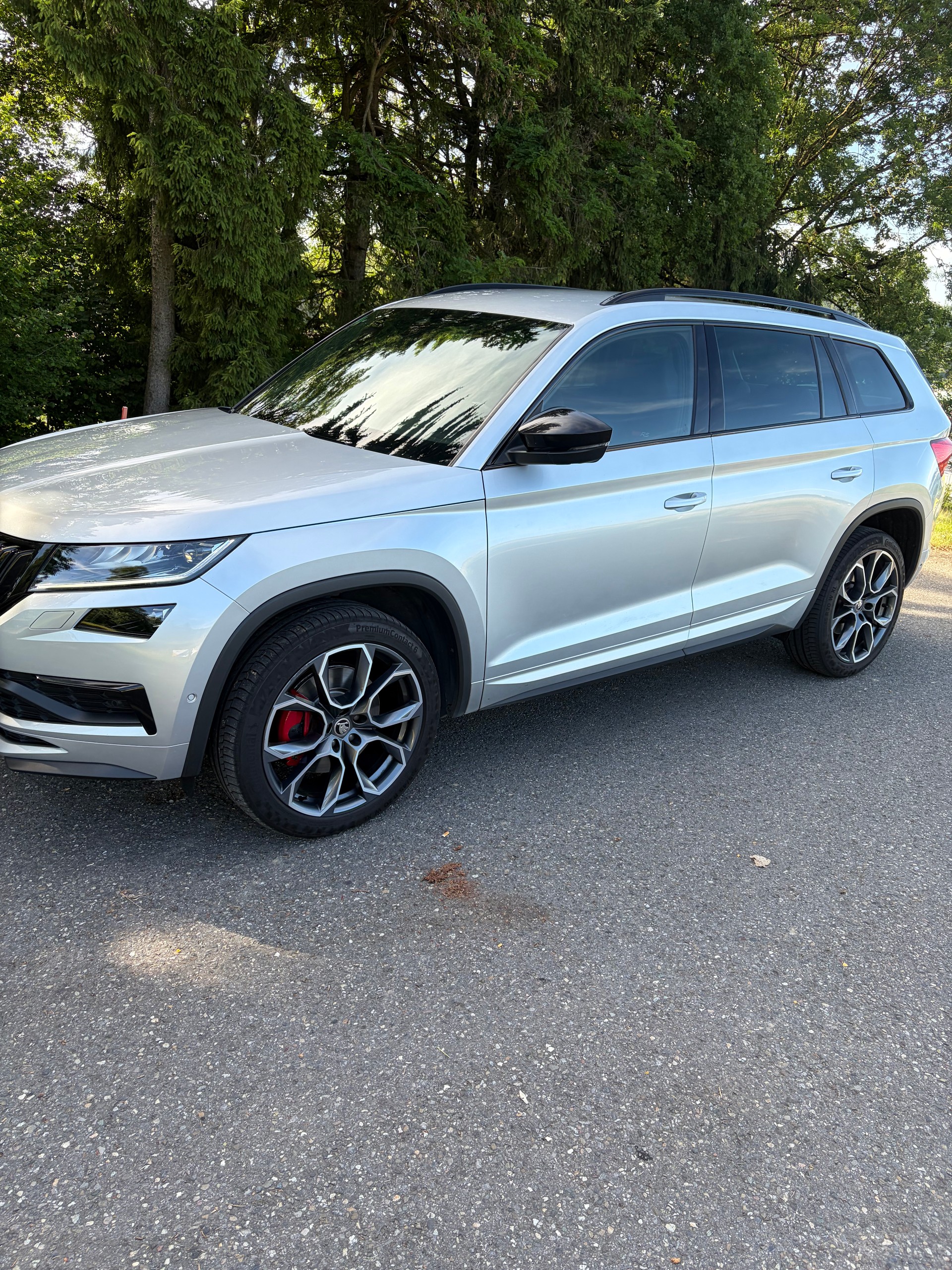 SKODA 2.0 Bi-TDI 240 RS DSG-image-8