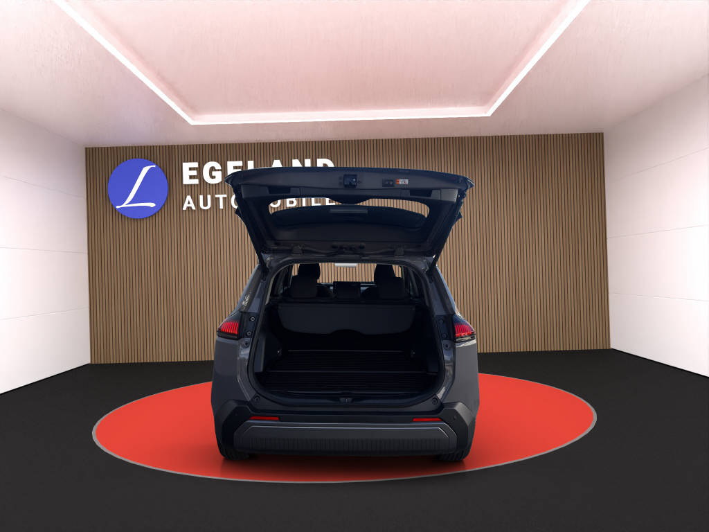 TOYOTA RAV-4 2.5 HEV Trend 4WD-image-19