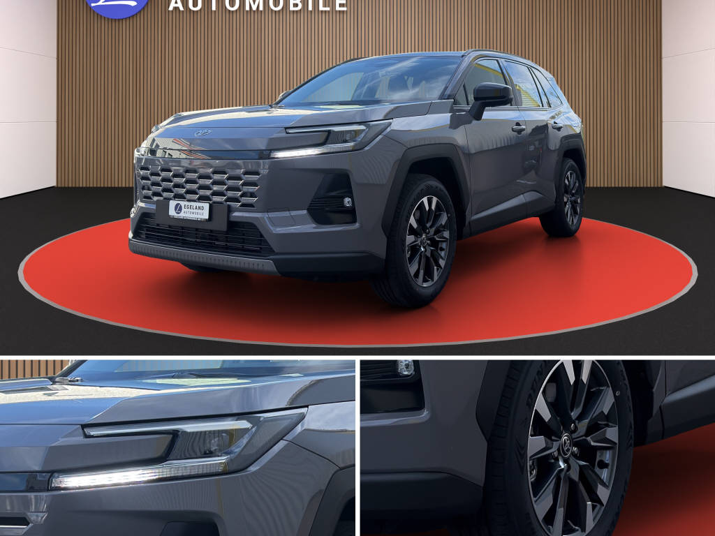 TOYOTA RAV-4 2.5 HEV Trend 4WD-image-8