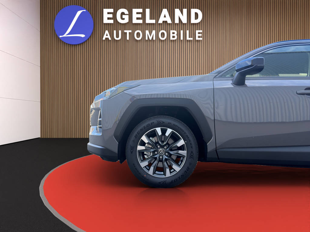 TOYOTA RAV-4 2.5 HEV Trend 4WD-image-9