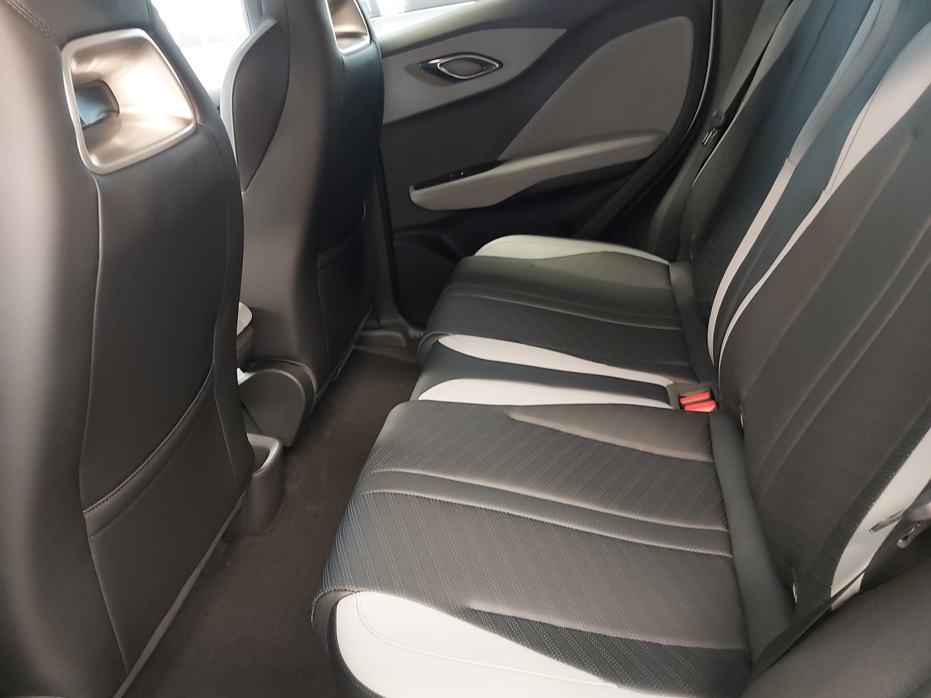 BYD Dolphin Surf Boost-image-17