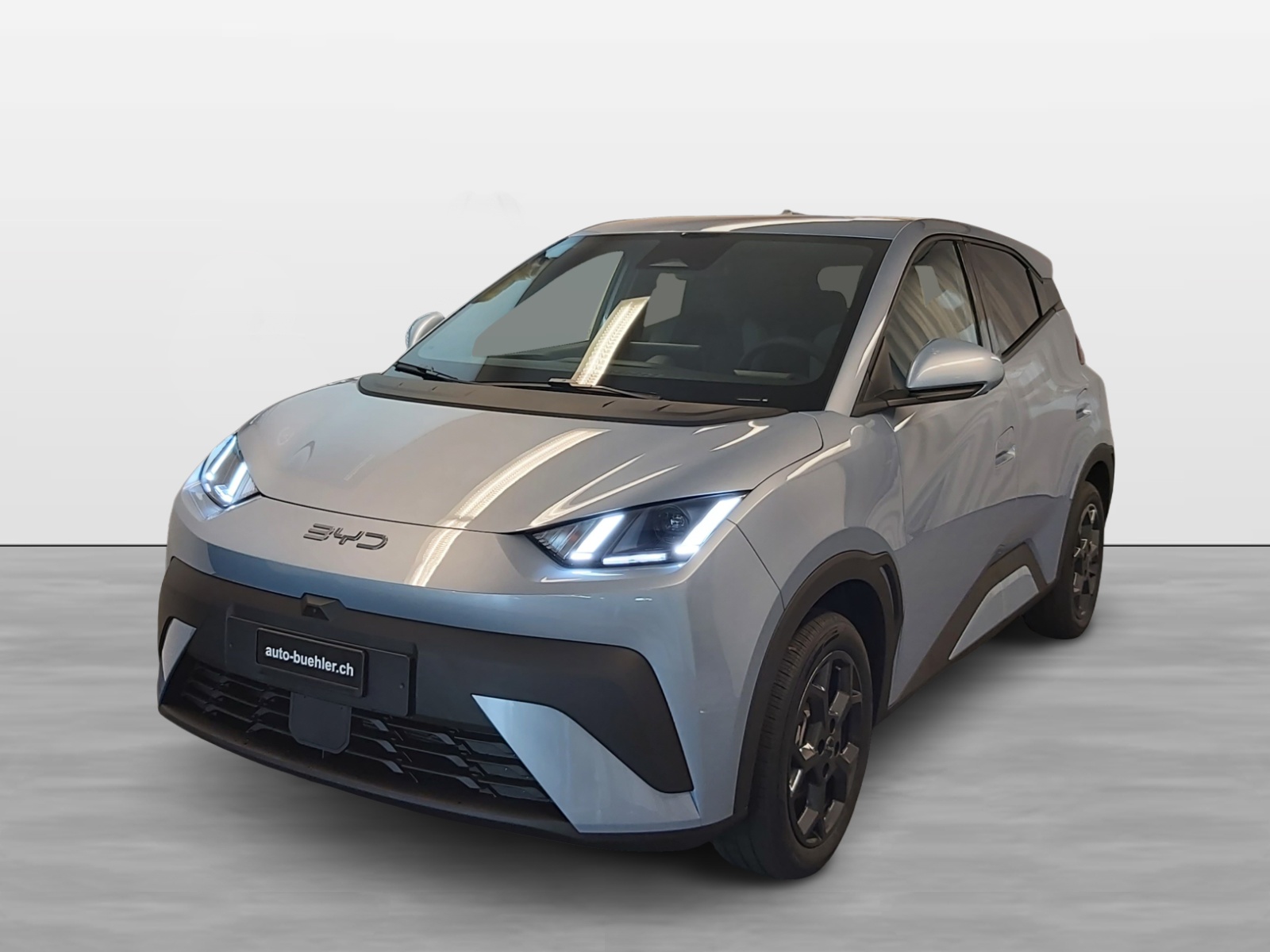 BYD Dolphin Surf Boost-image-0
