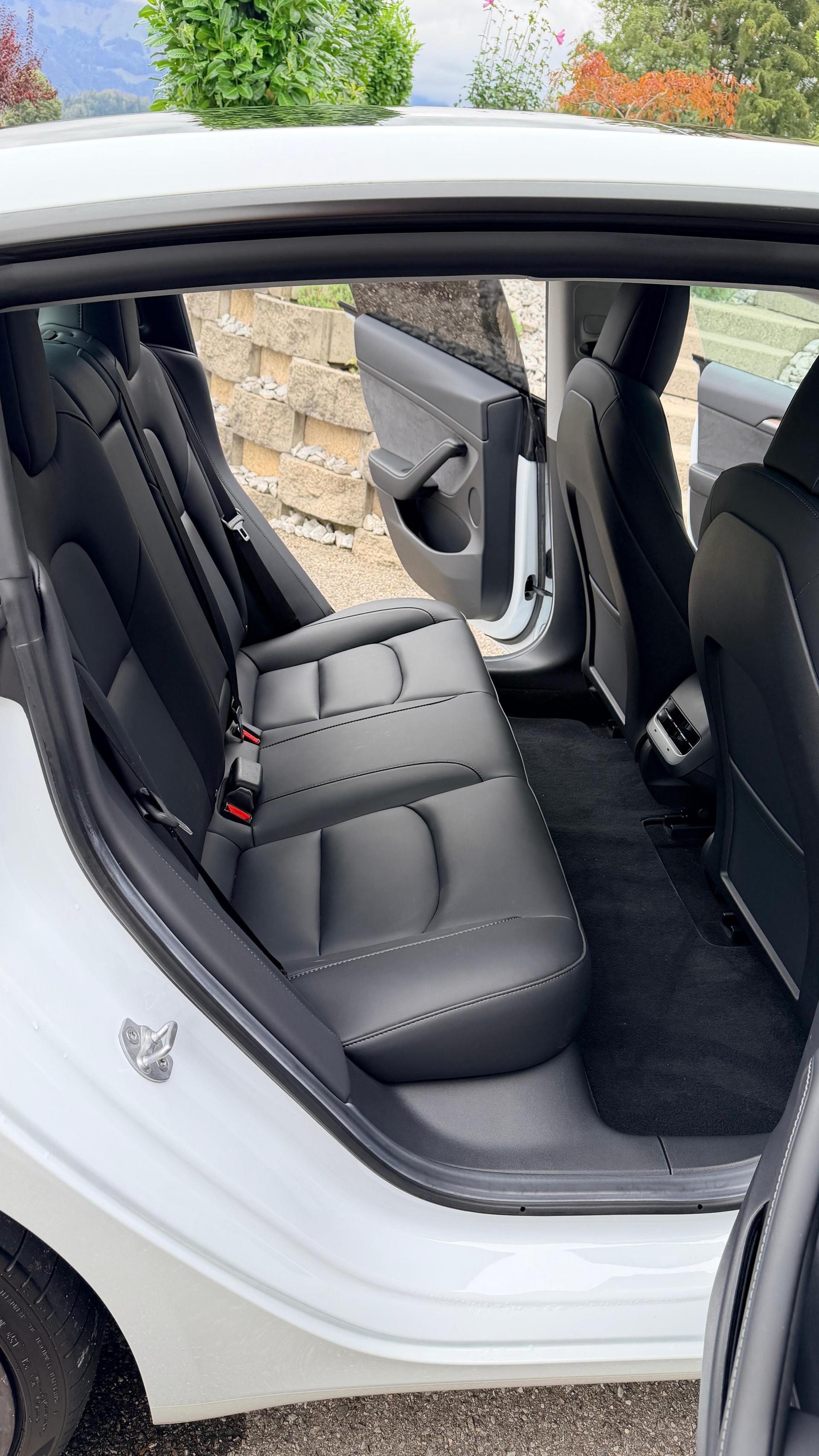TESLA Performance-image-5