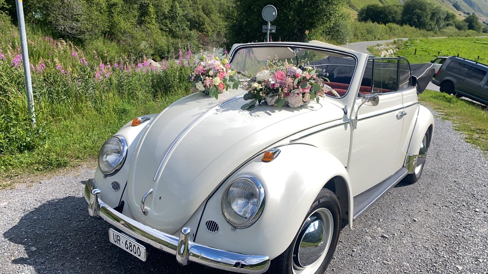 VW 11 DE LUXE — slika 1