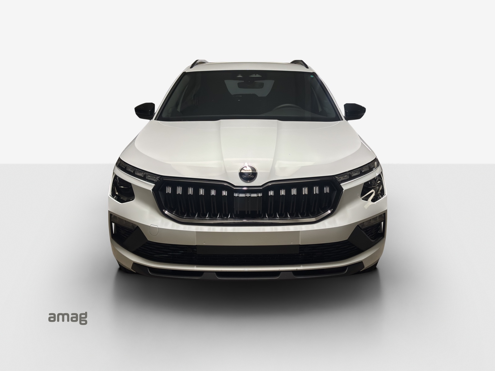 SKODA Kamiq 1.5 TSI Dynamic DSG-image-6
