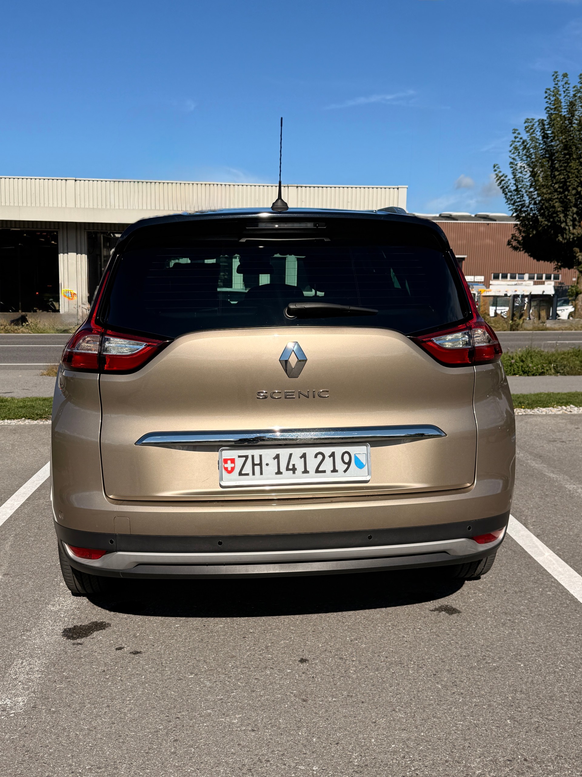 RENAULT 1.6 dCi 160 Bose EDC-image-3